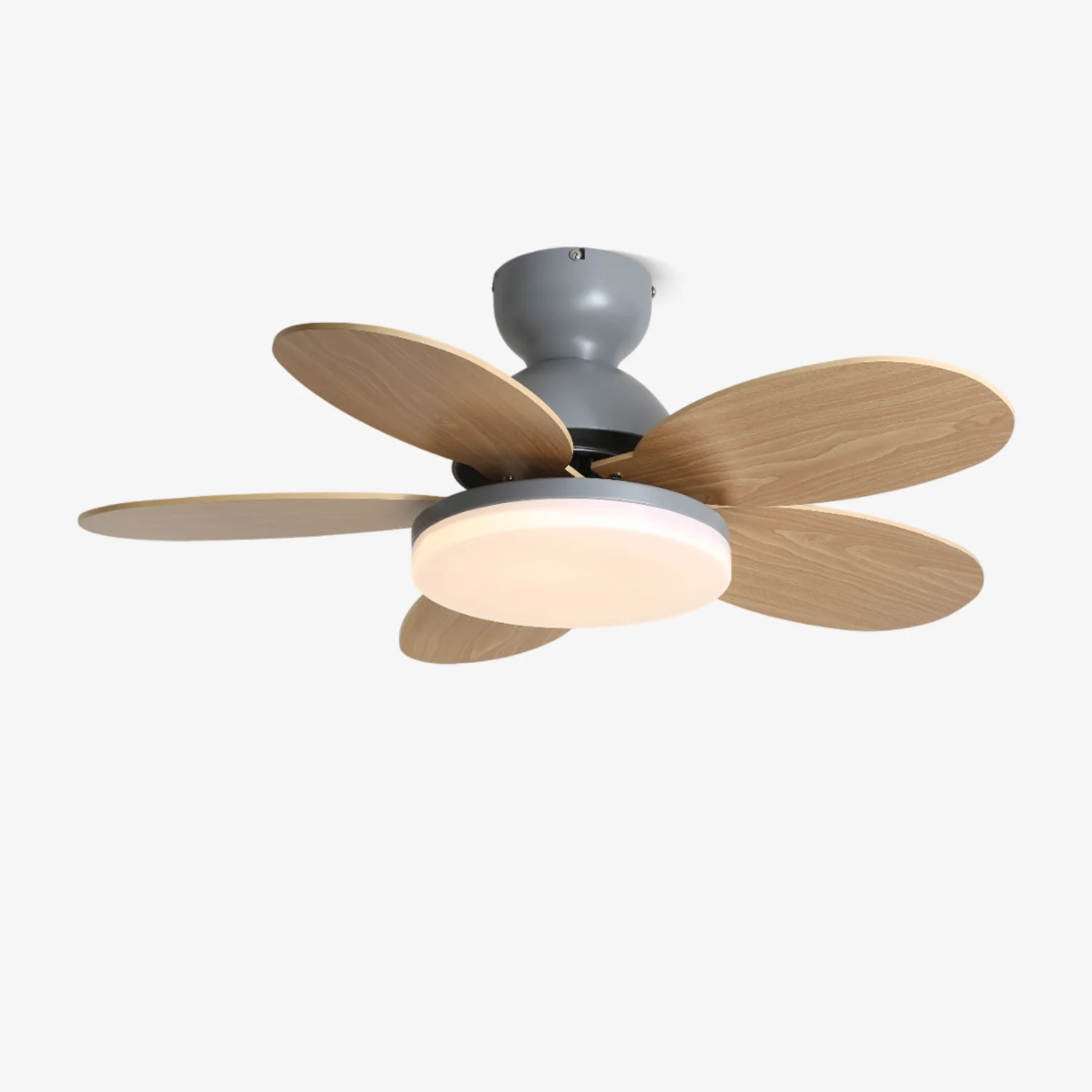Petalo Ceiling Fan Light - Image 34