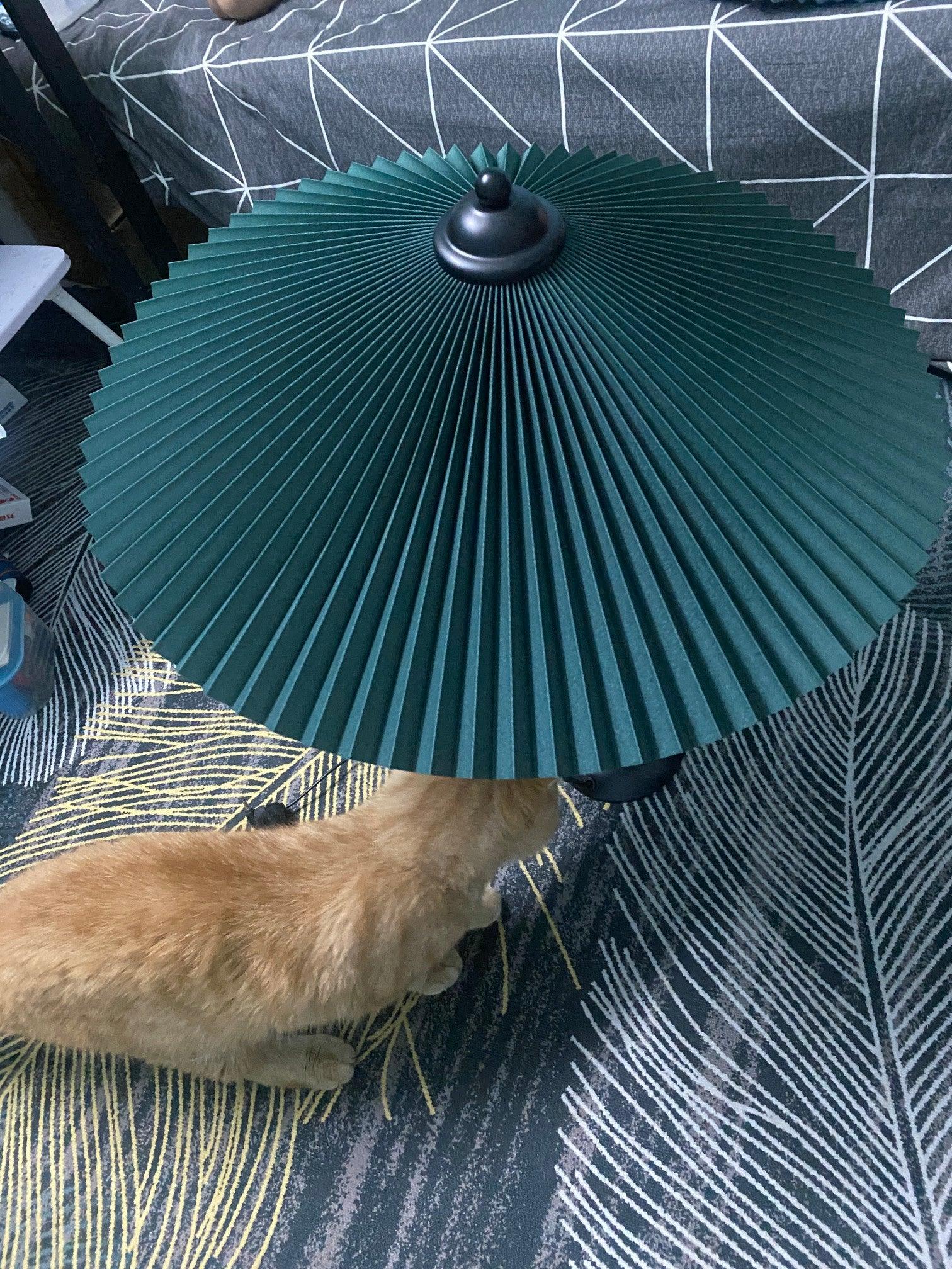 Pleated Hat Table Lamp - Image 23