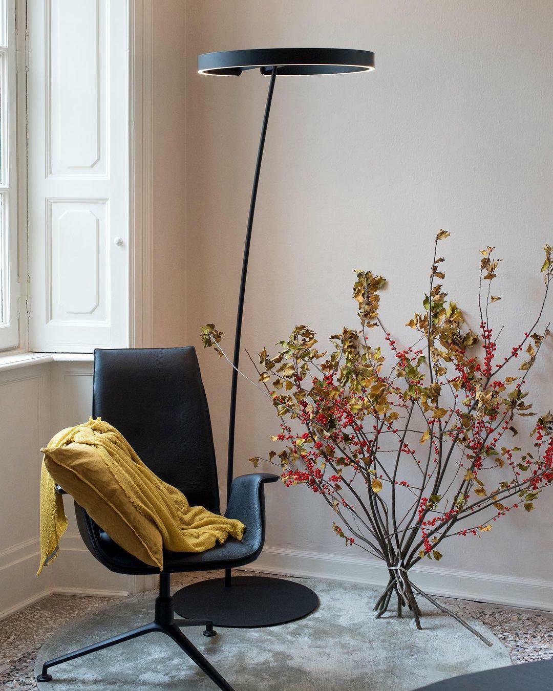 Ring Floor Light - Image 20
