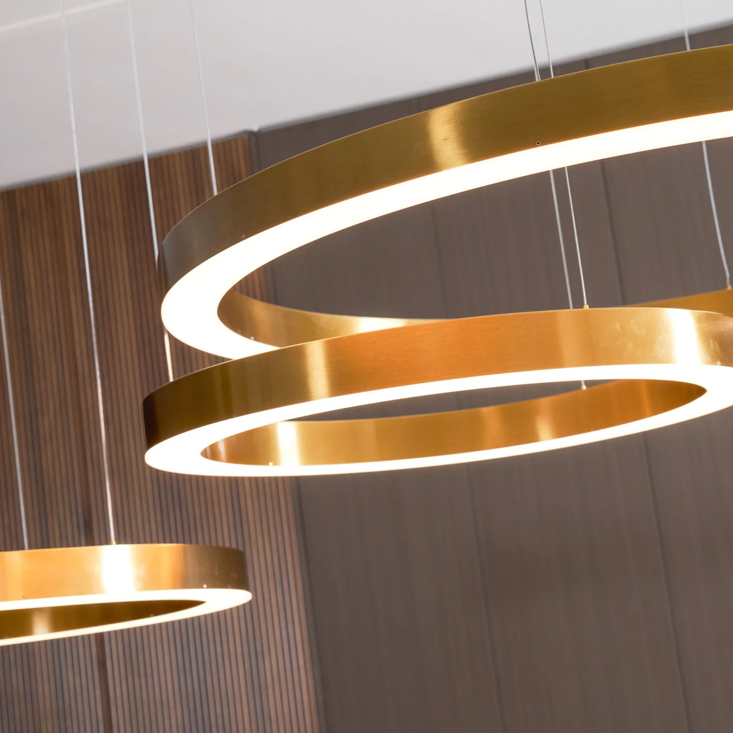 Ring LED Pendant Light - Image 56
