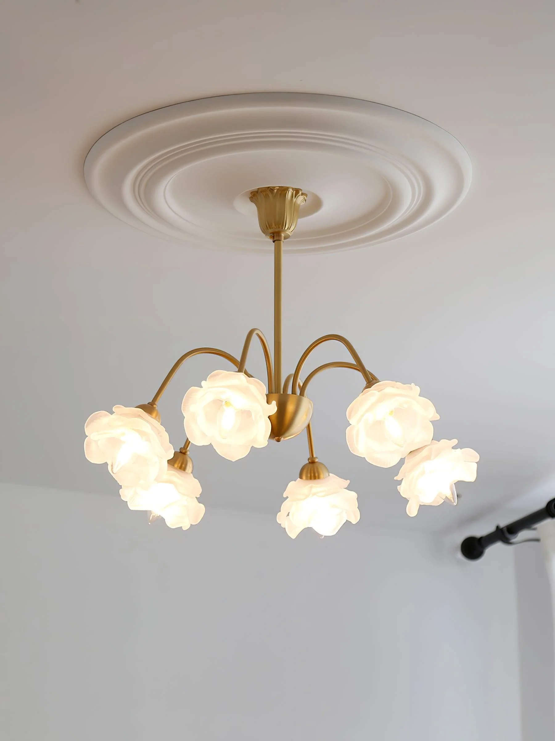 Roses Chandelier - Image 16