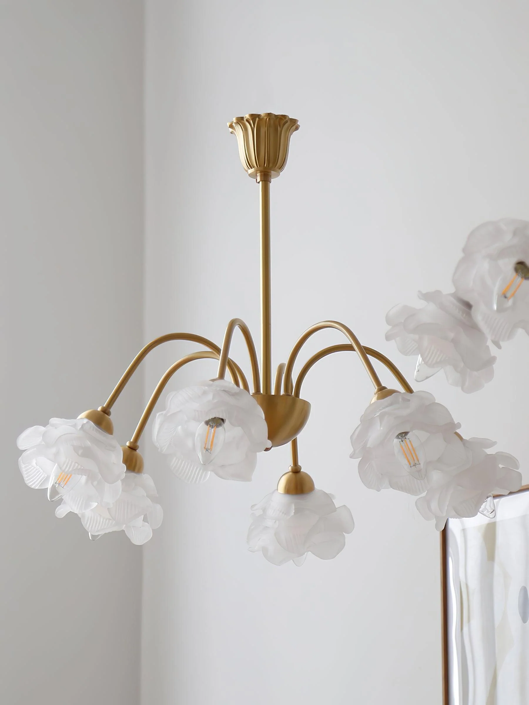 Roses Chandelier - Image 19