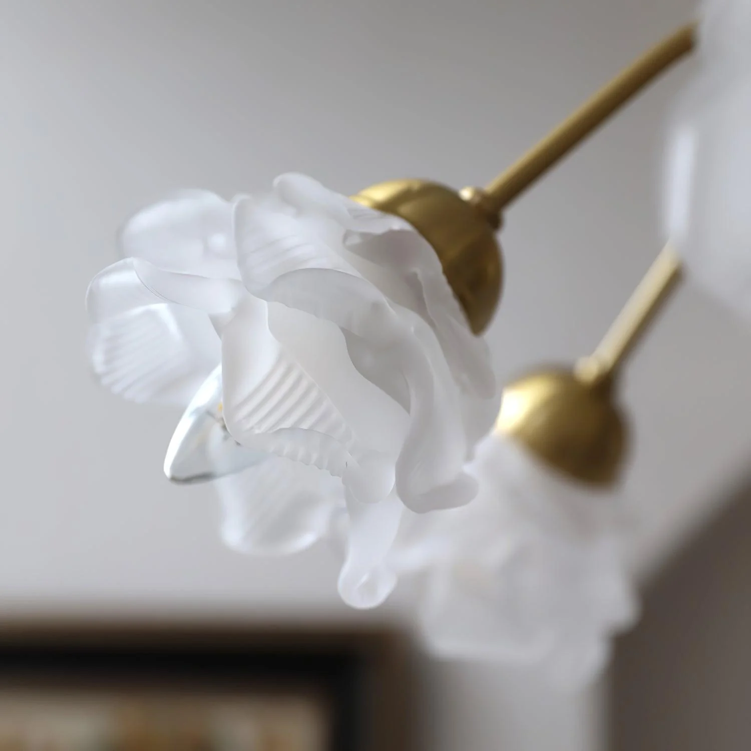 Roses Chandelier - Image 20