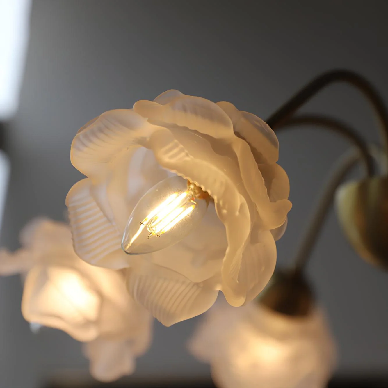 Roses Chandelier - Image 21