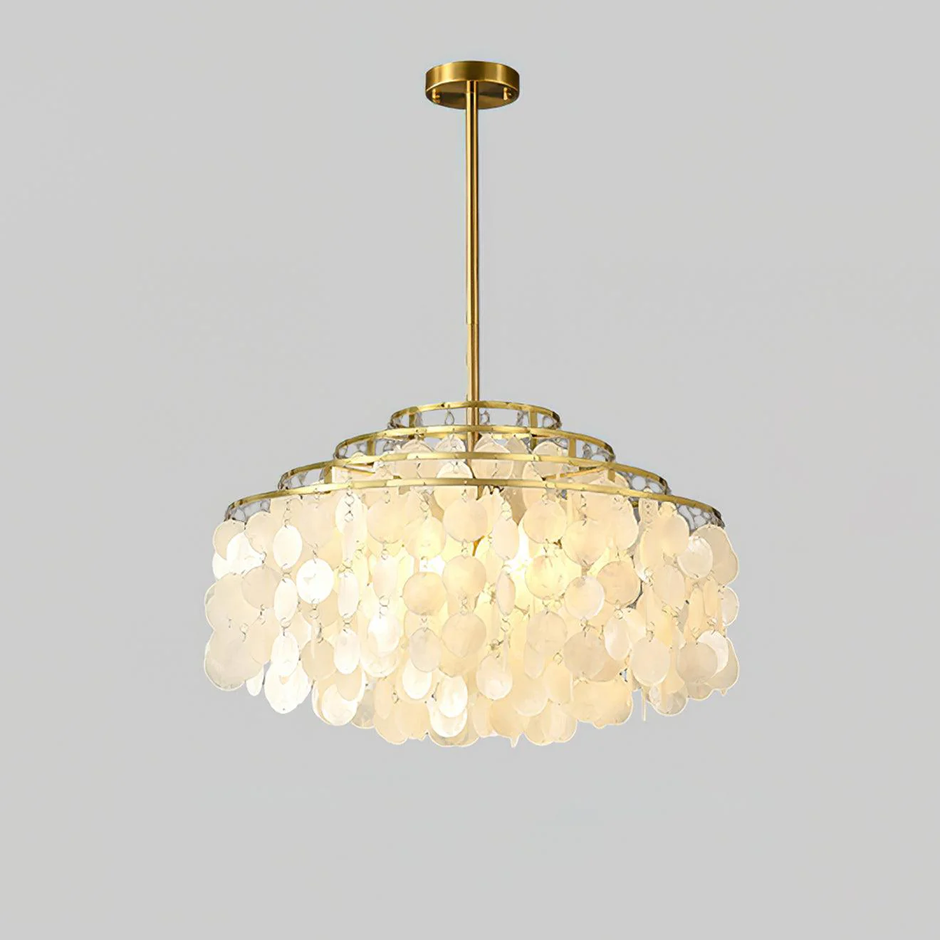 Round Shell Chandelier B - Image 27