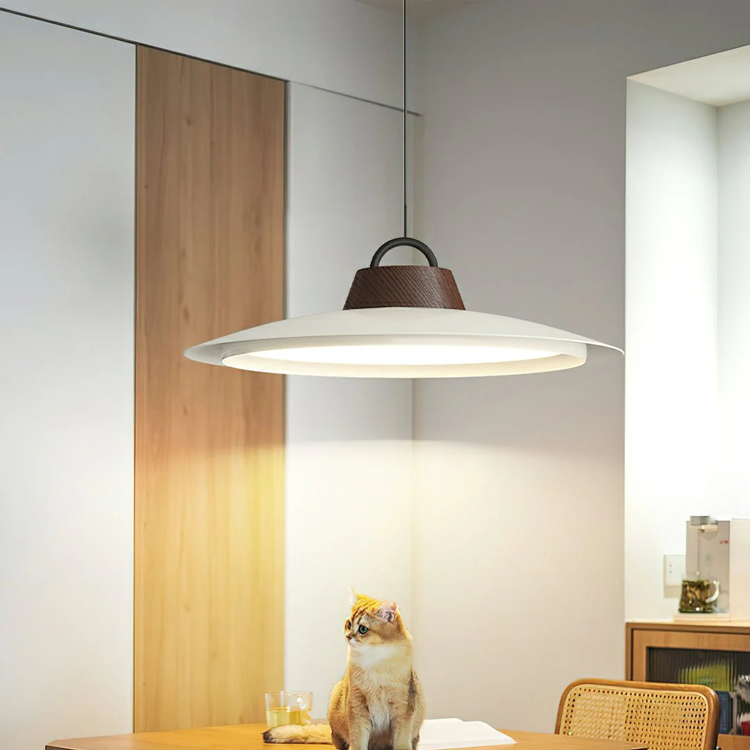 Ruile Pendant Lamp - Image 5