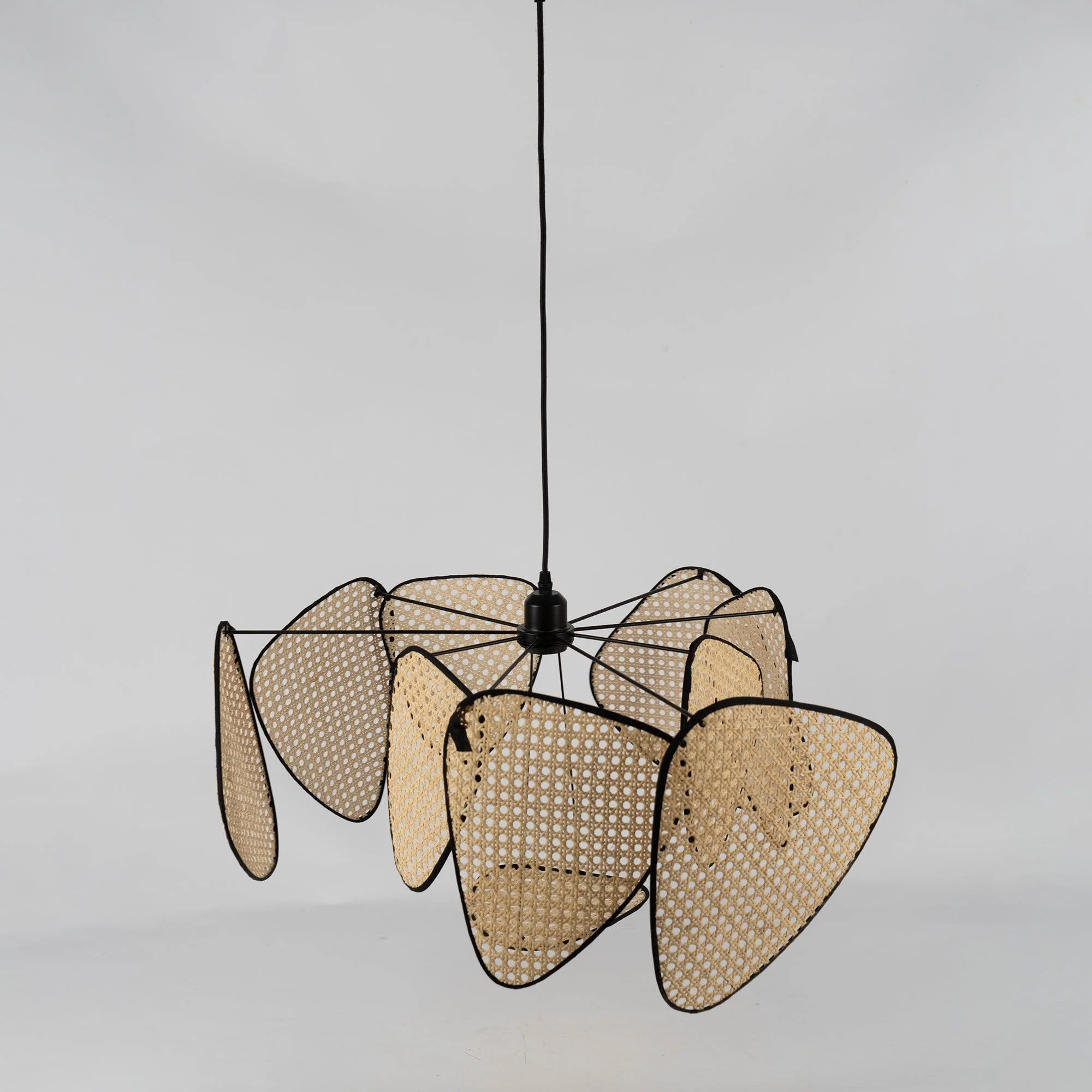 Screen Cannage Suspension - Image 26