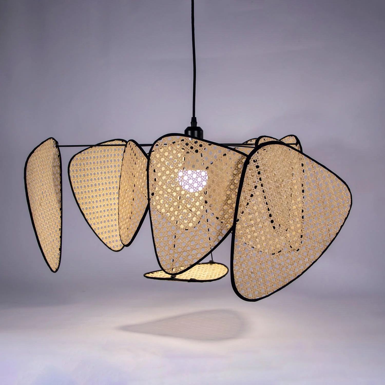 Screen Cannage Suspension - Image 27