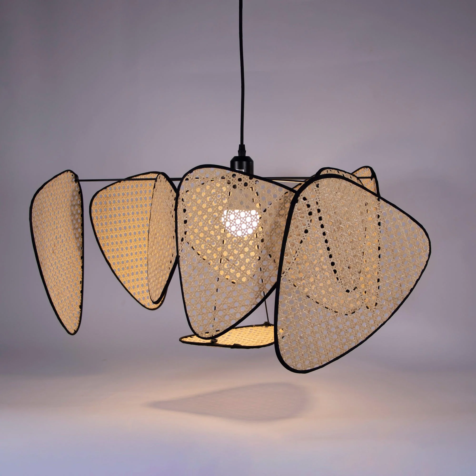 Screen Cannage Suspension - Image 29