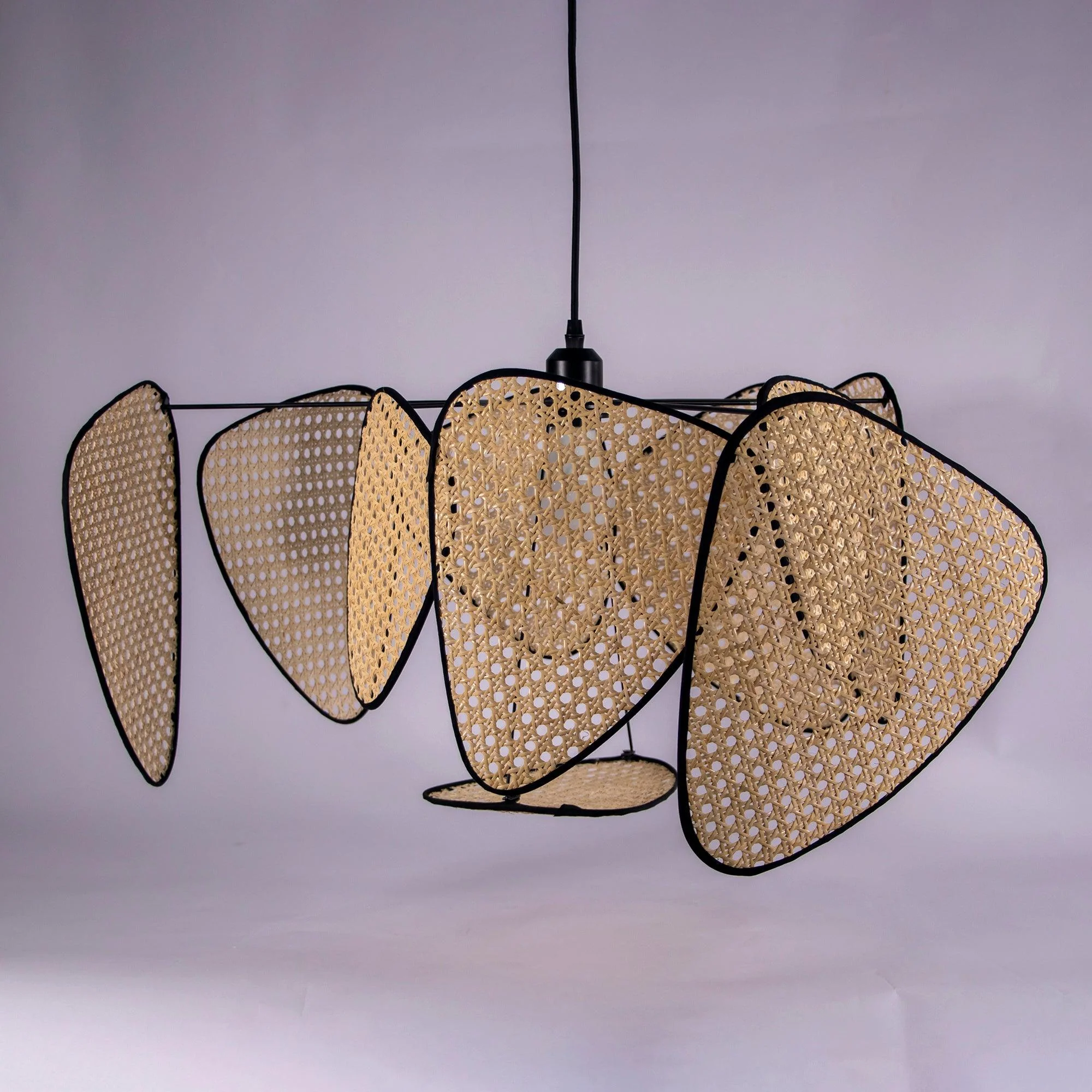 Screen Cannage Suspension - Image 31