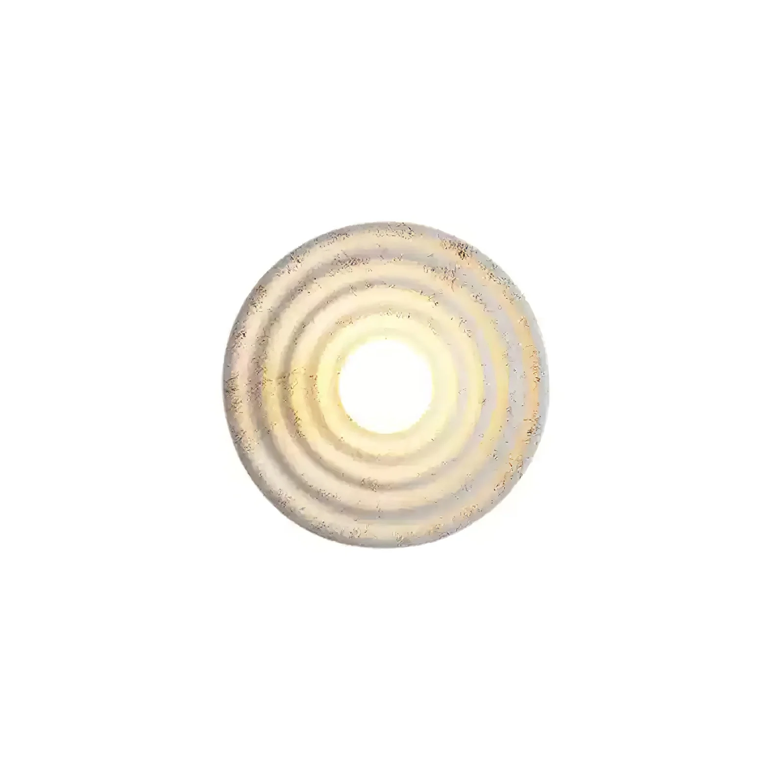 Seashell Resin Wall Lamp - Image 19
