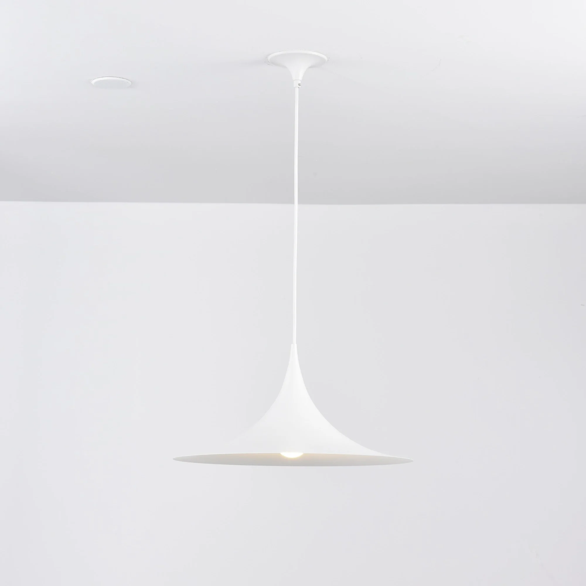 Semi Swag Pendant Light - Image 113