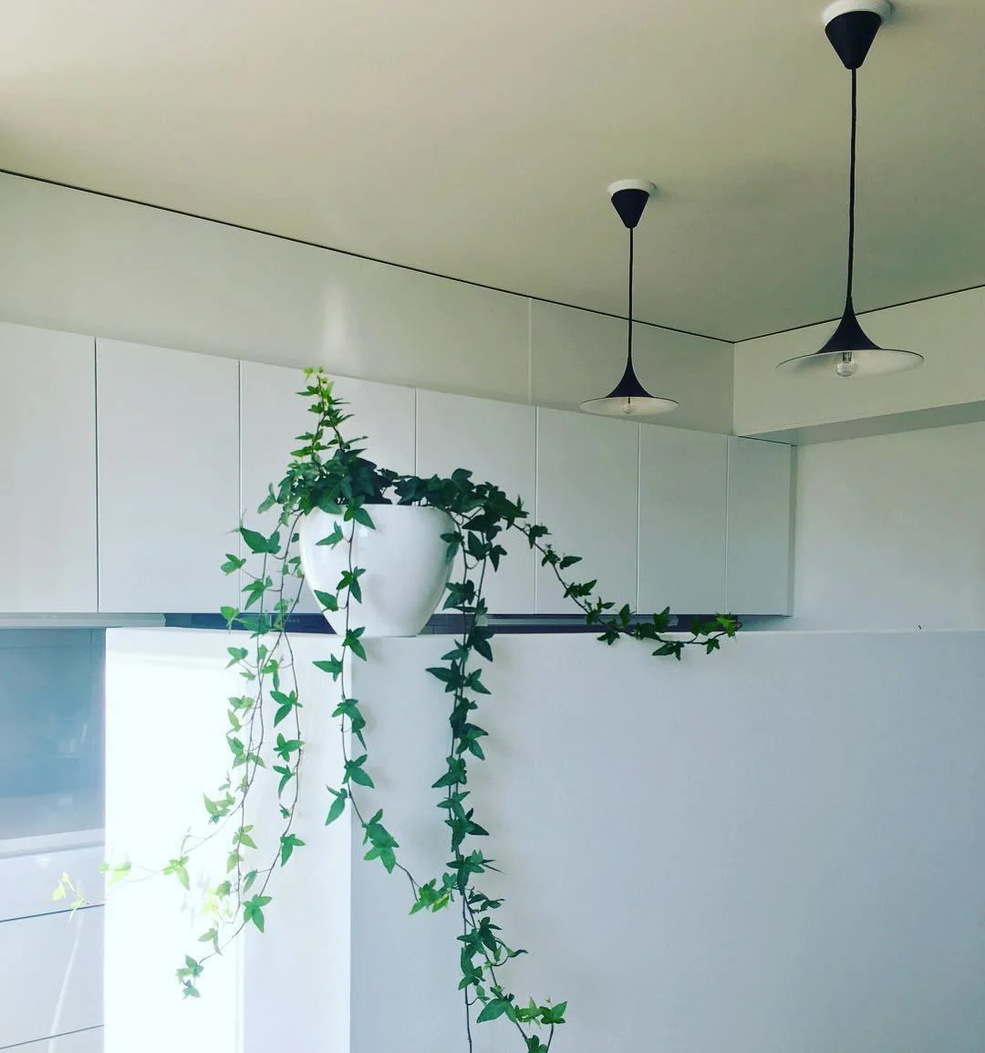 Semi Swag Pendant Light - Image 56