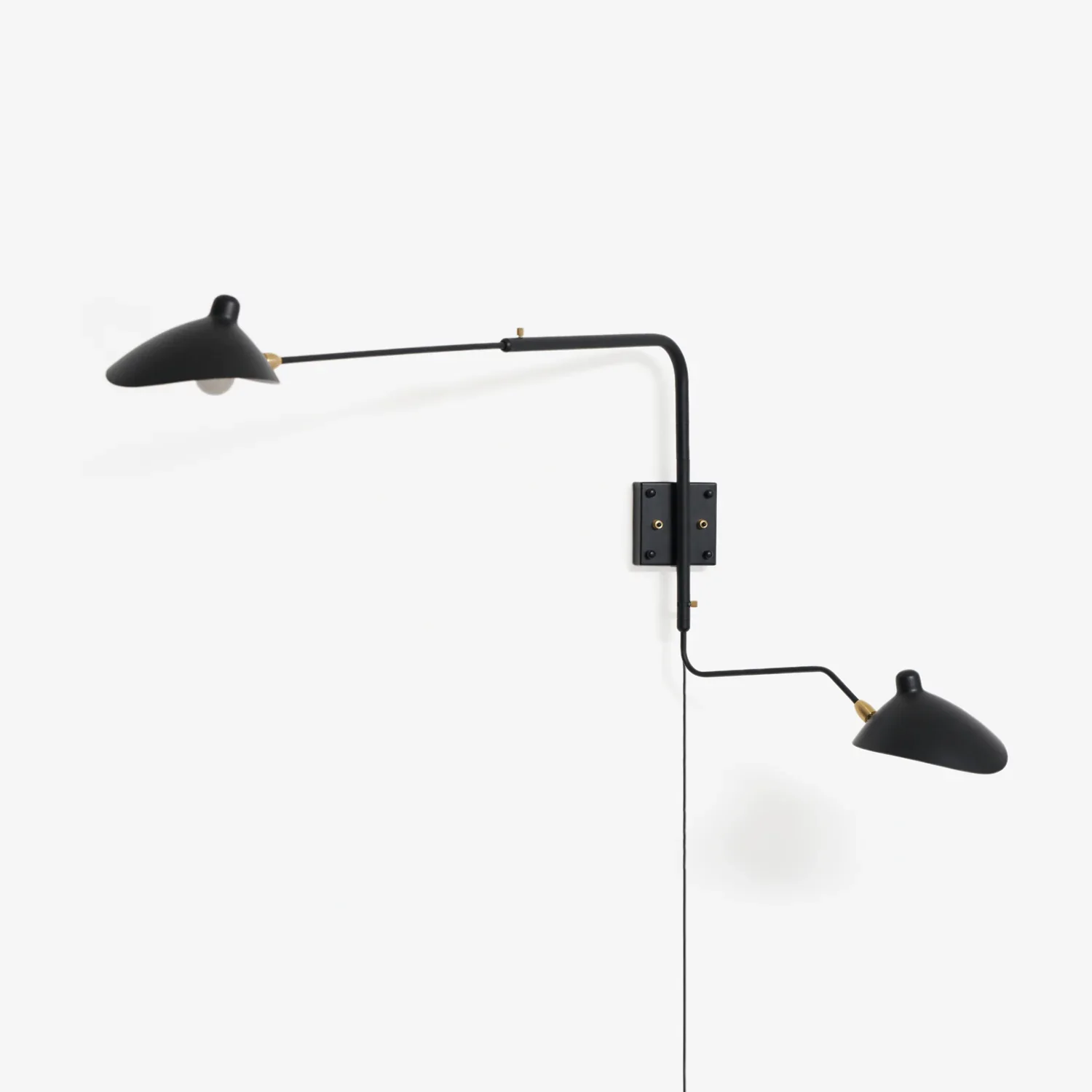 Versatile Arm Wall Sconce