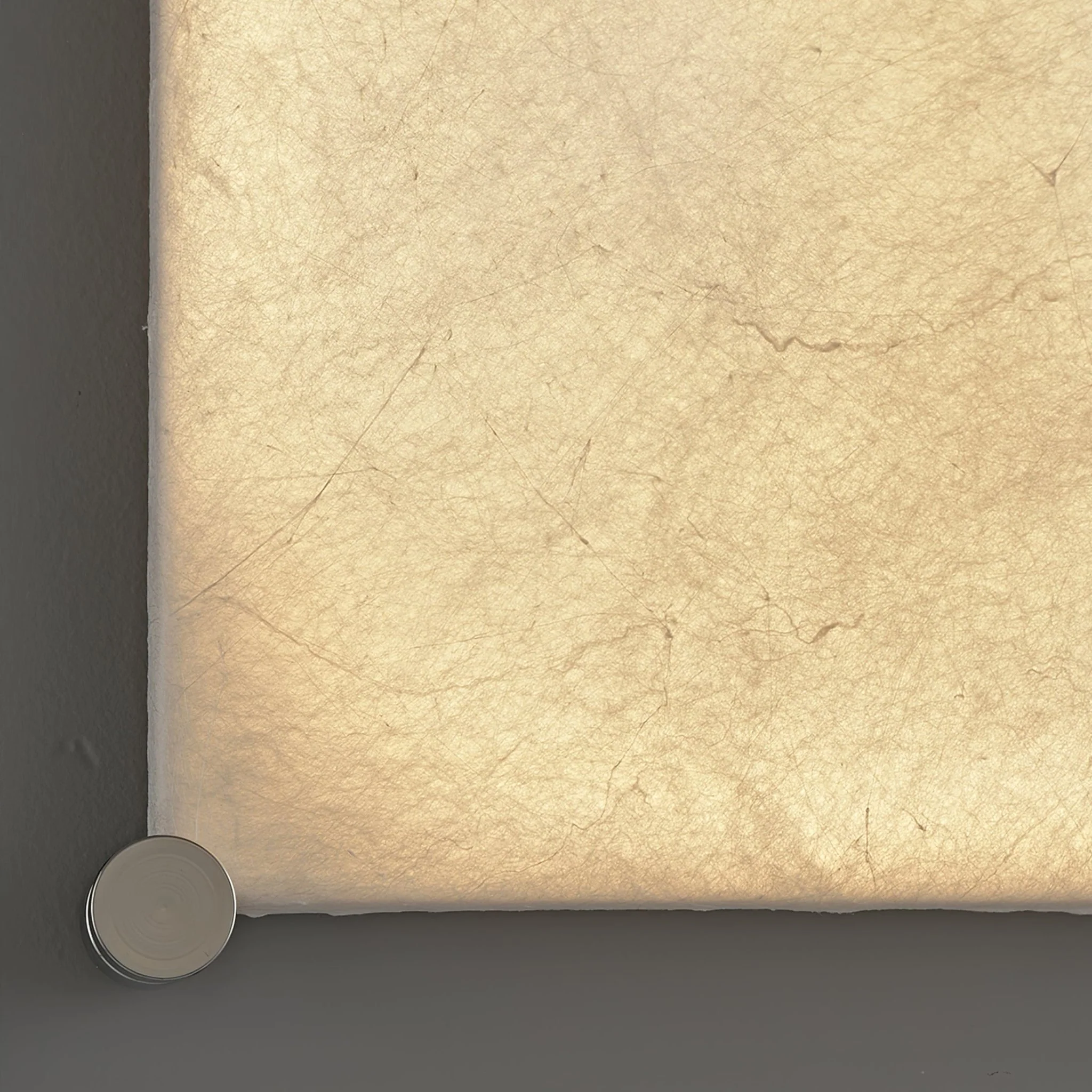 Serica Wall Light - Image 13