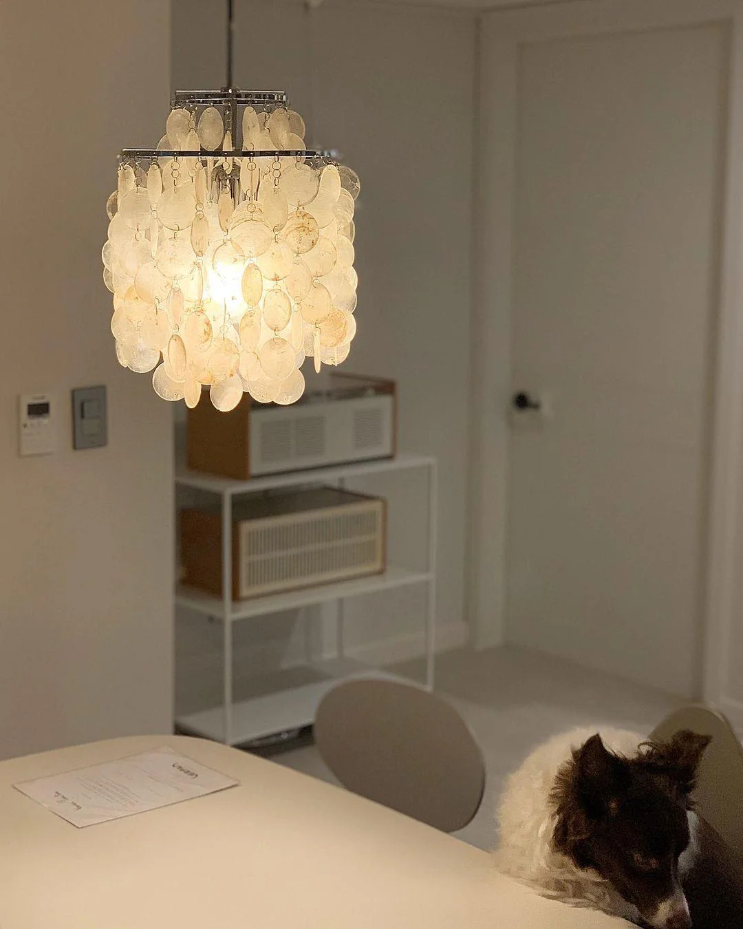 Round Shell Chandelier - Image 33