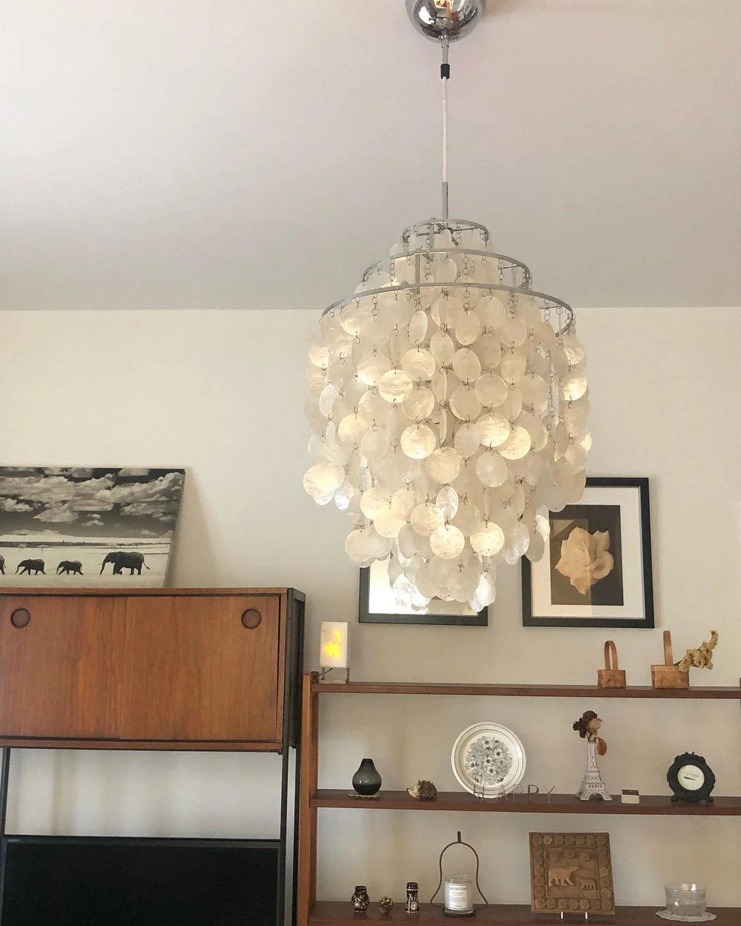 Round Shell Chandelier - Image 50