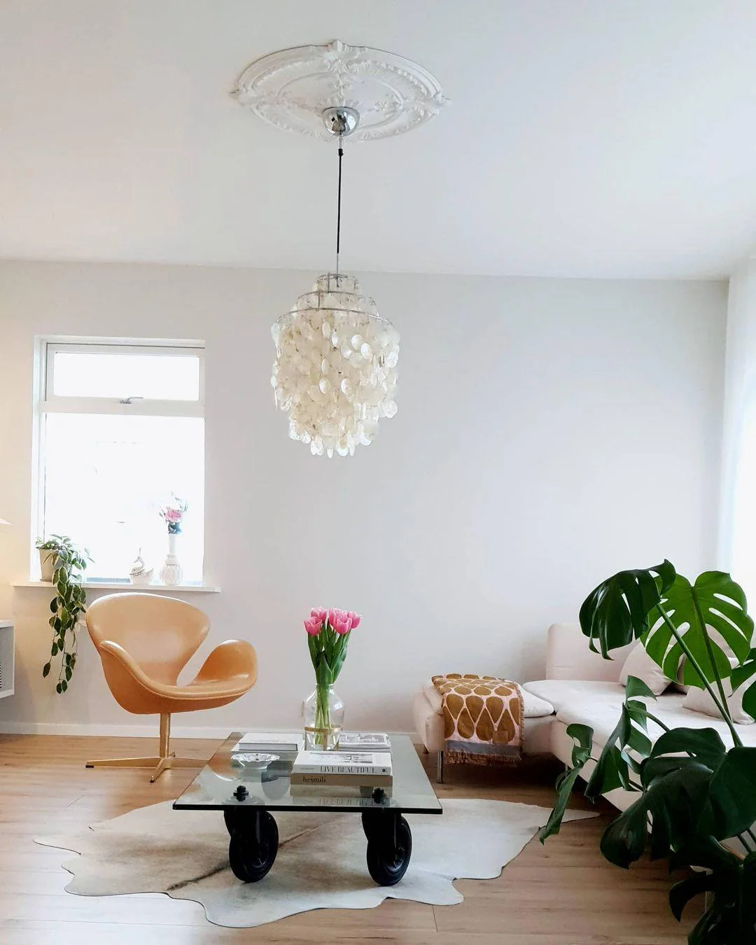 Round Shell Chandelier - Image 62
