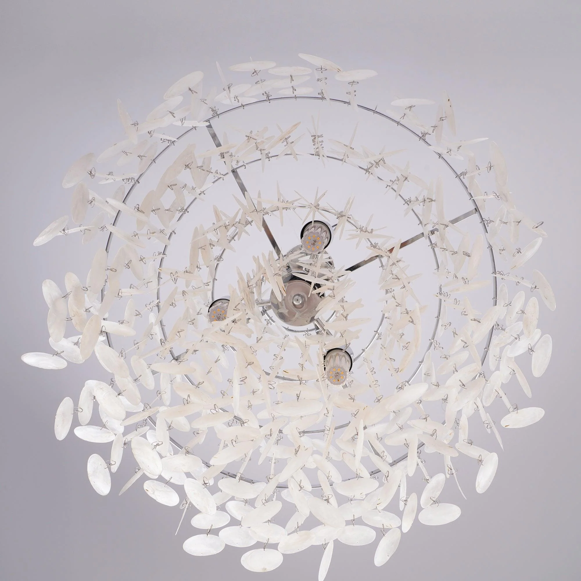 Round Shell Chandelier - Image 79