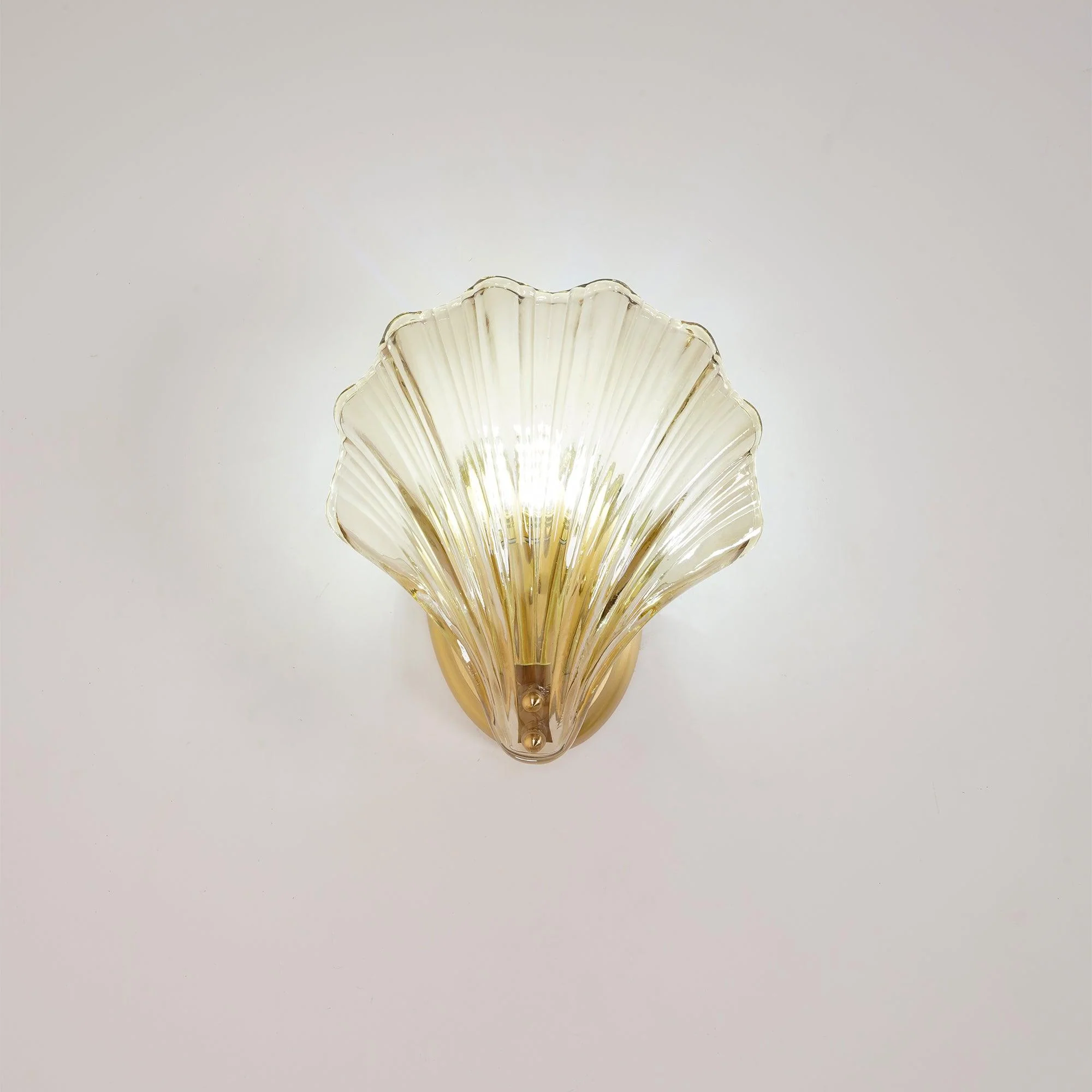 Shell Wall Light - Image 20