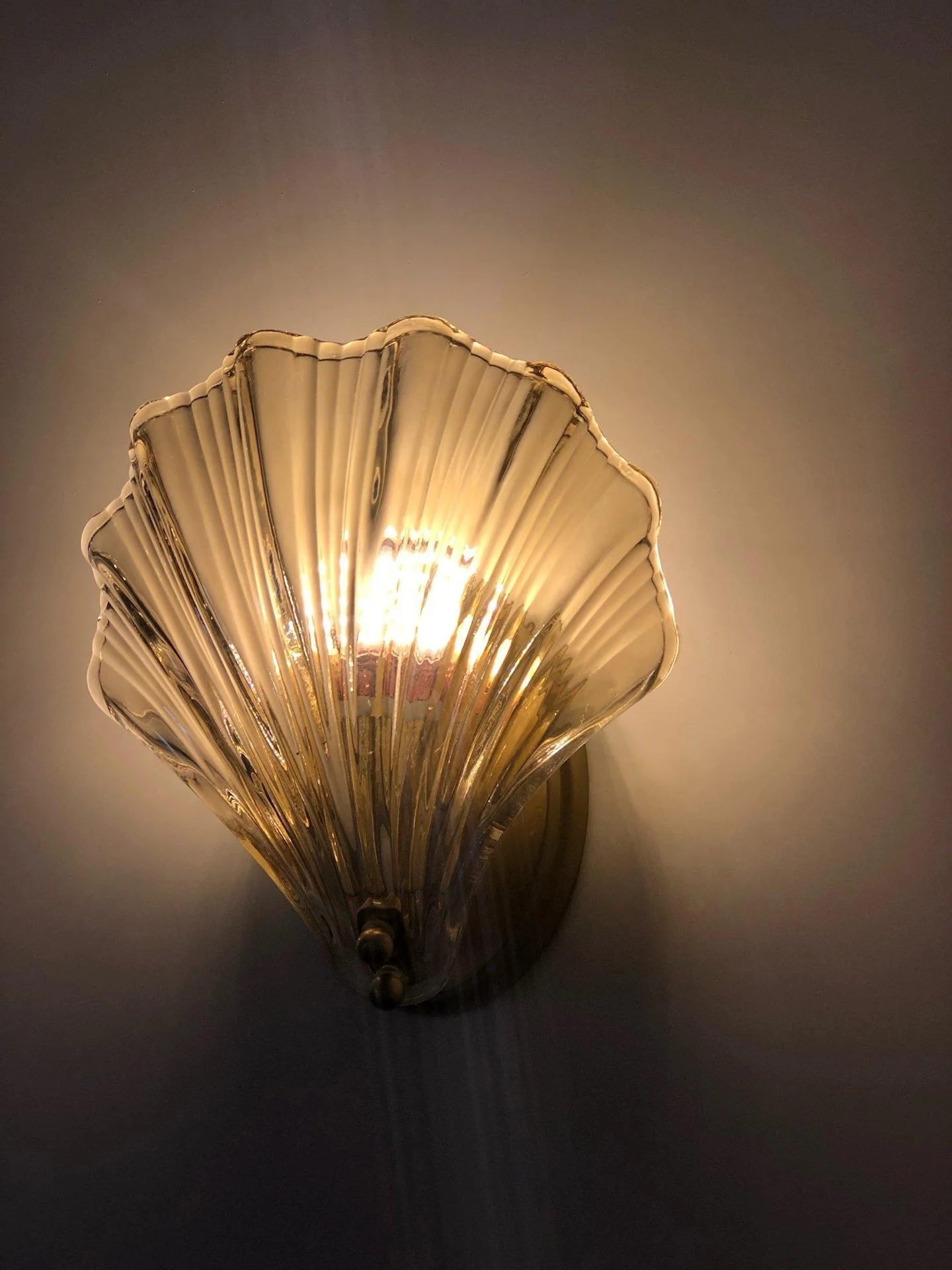 Shell Wall Light - Image 21