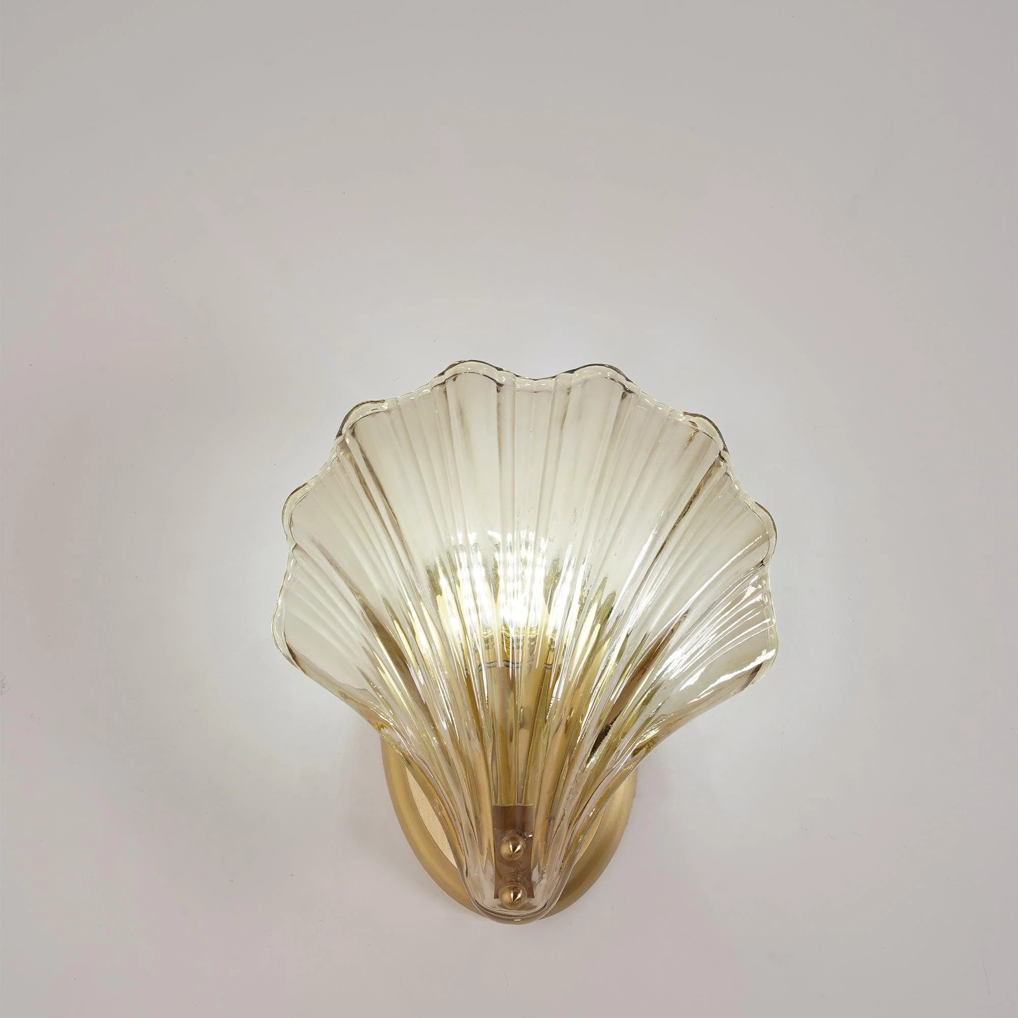 Shell Wall Light - Image 42
