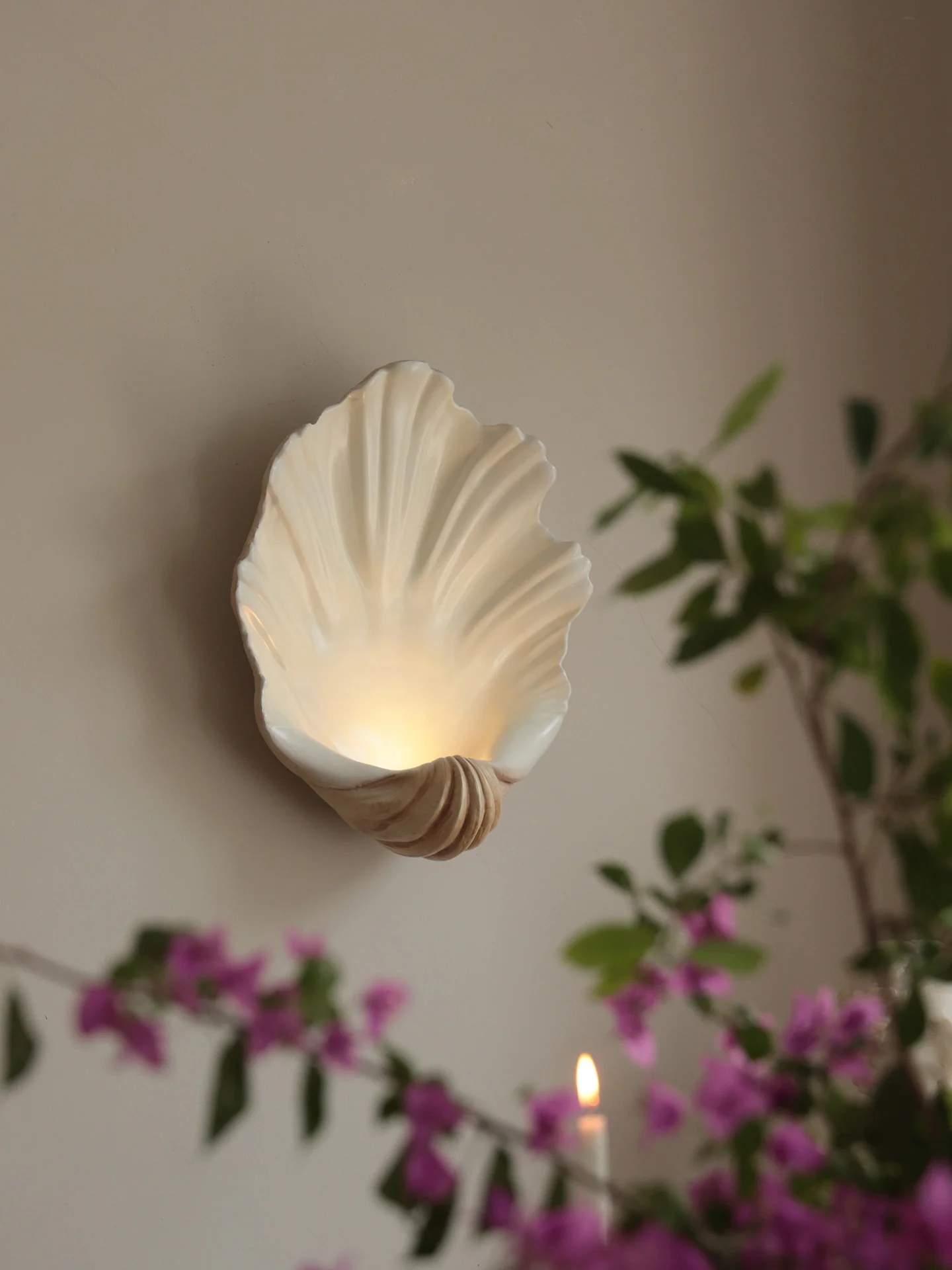 Shell Wall Sconce - Image 17