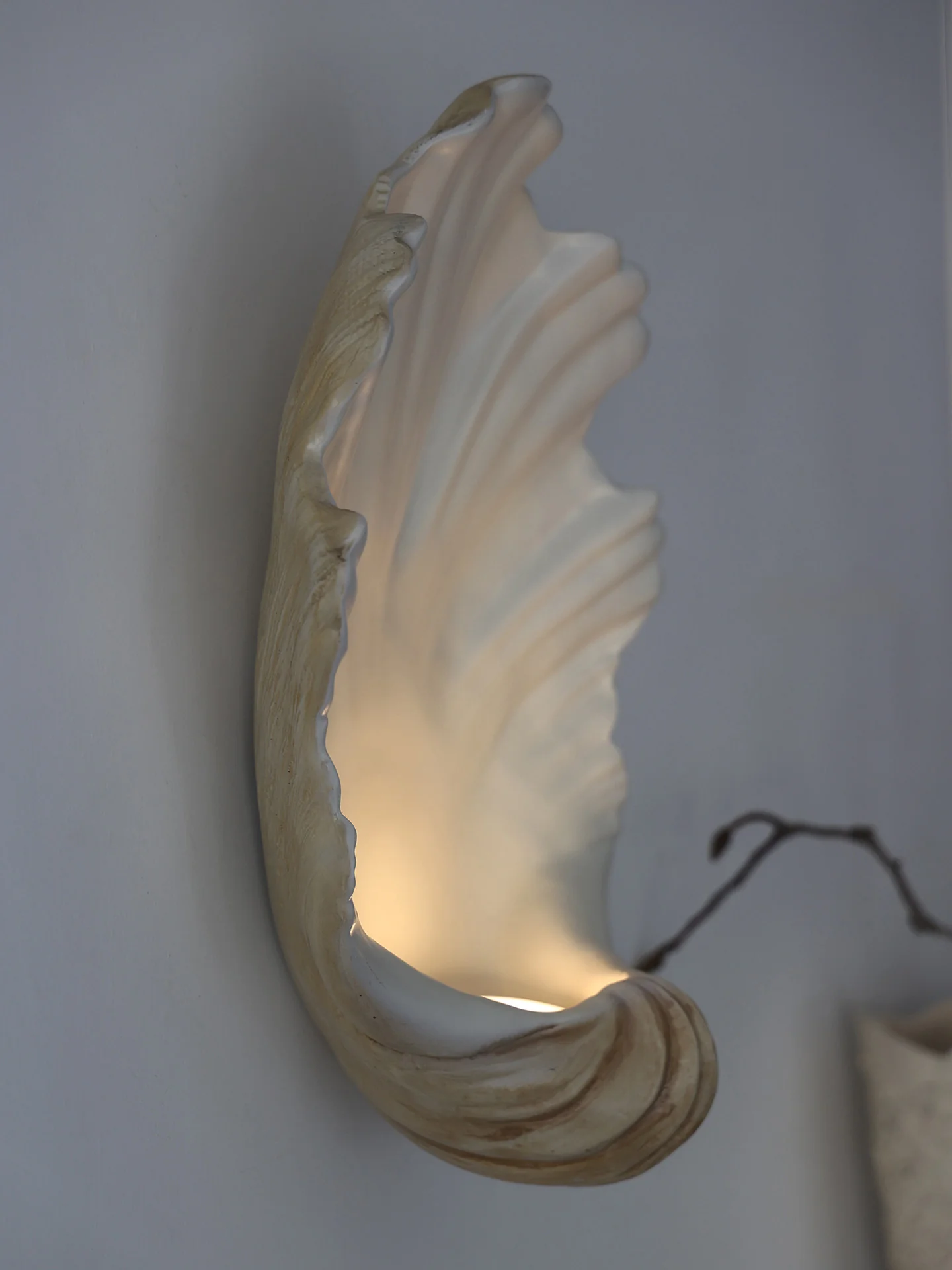 Shell Wall Sconce - Image 21