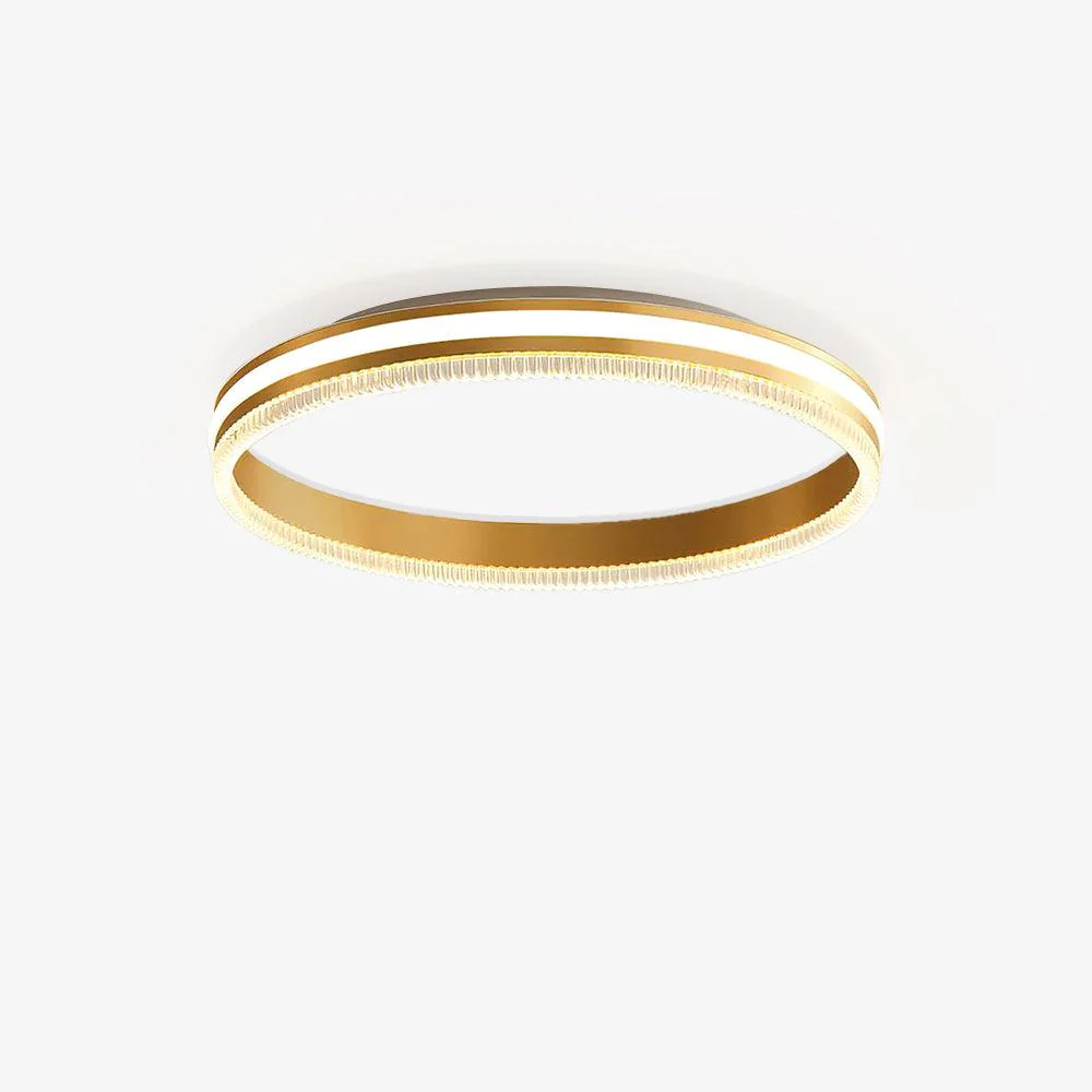 Simple Acrylic Ring Ceiling Light - Image 12