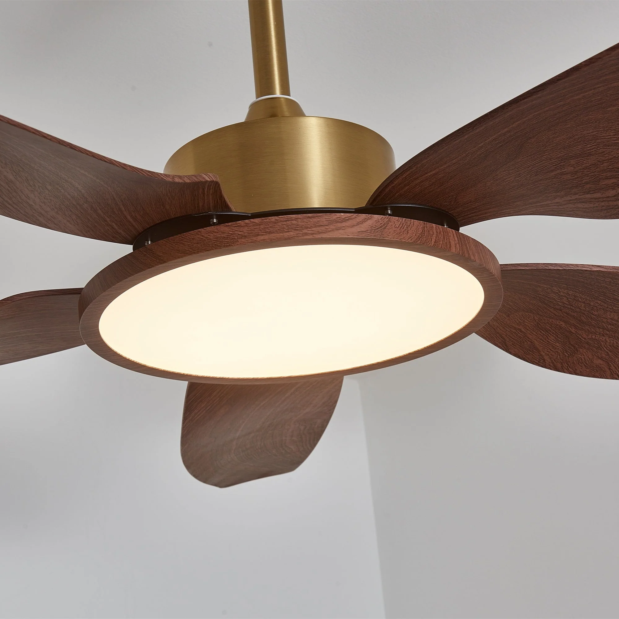 Sirocco Breeze Ceiling Fan Light - Image 14