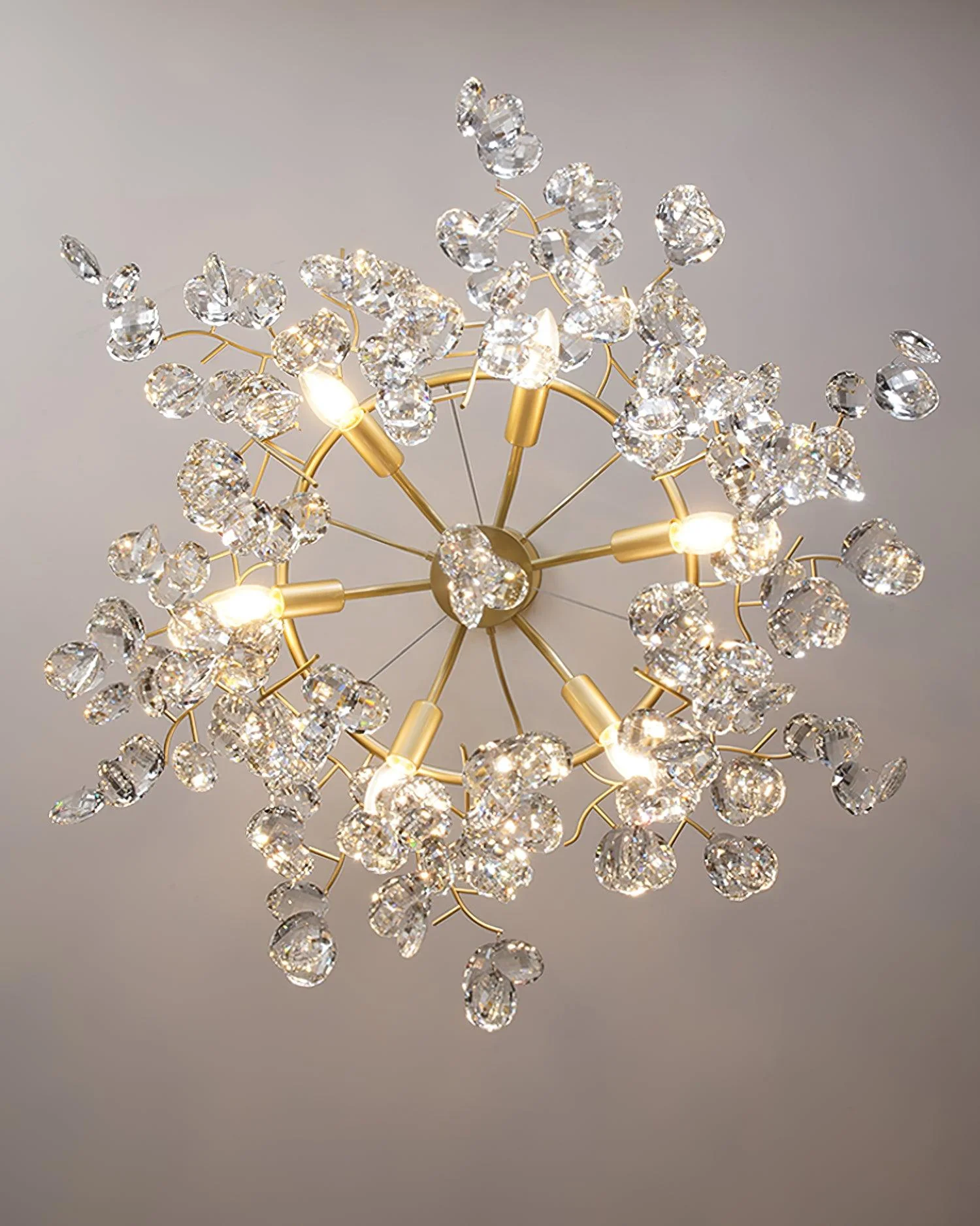 Sofia Chandeliers - Image 23