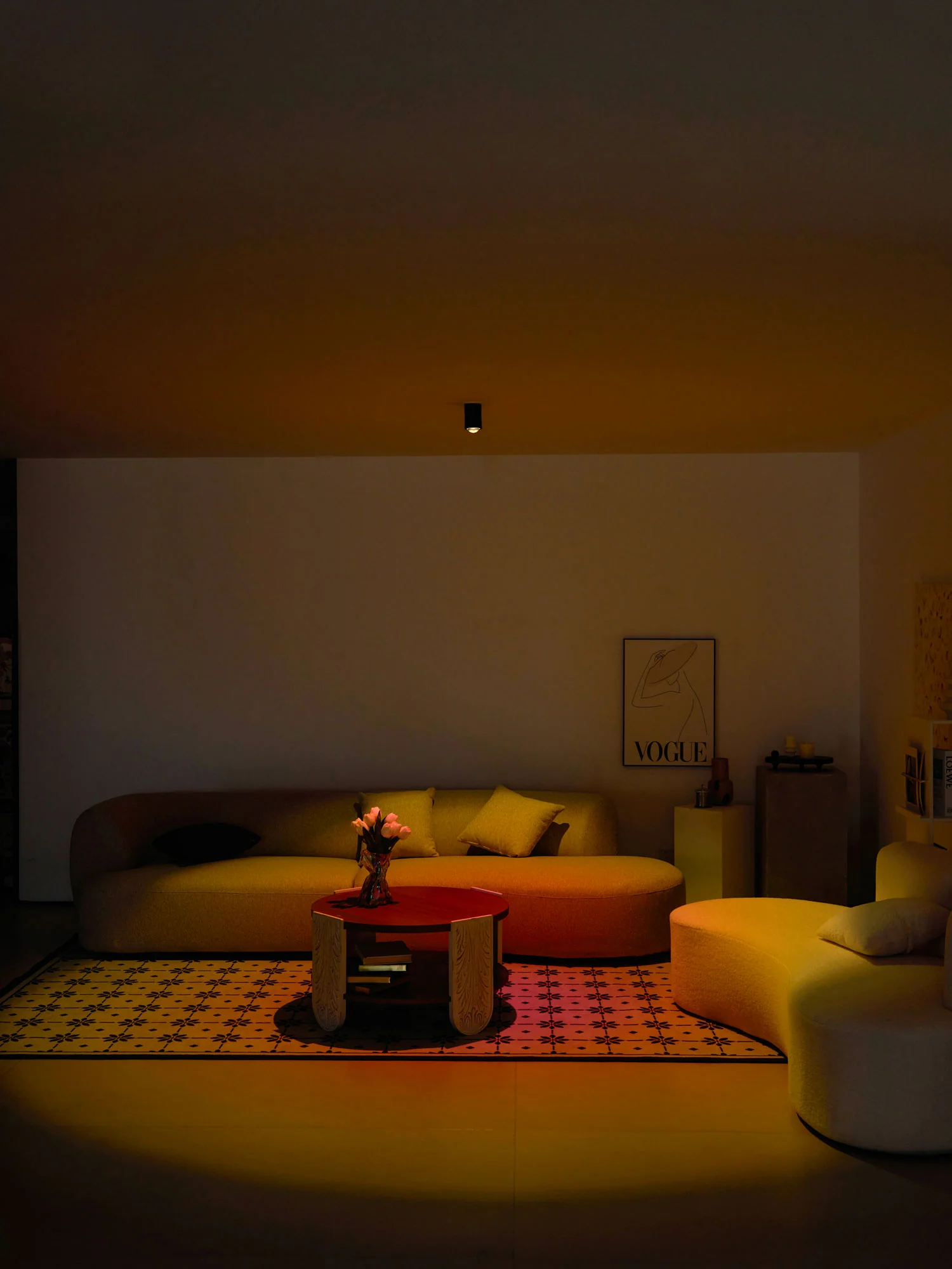 Sunset Adjustable LED Spotlight - Image 18