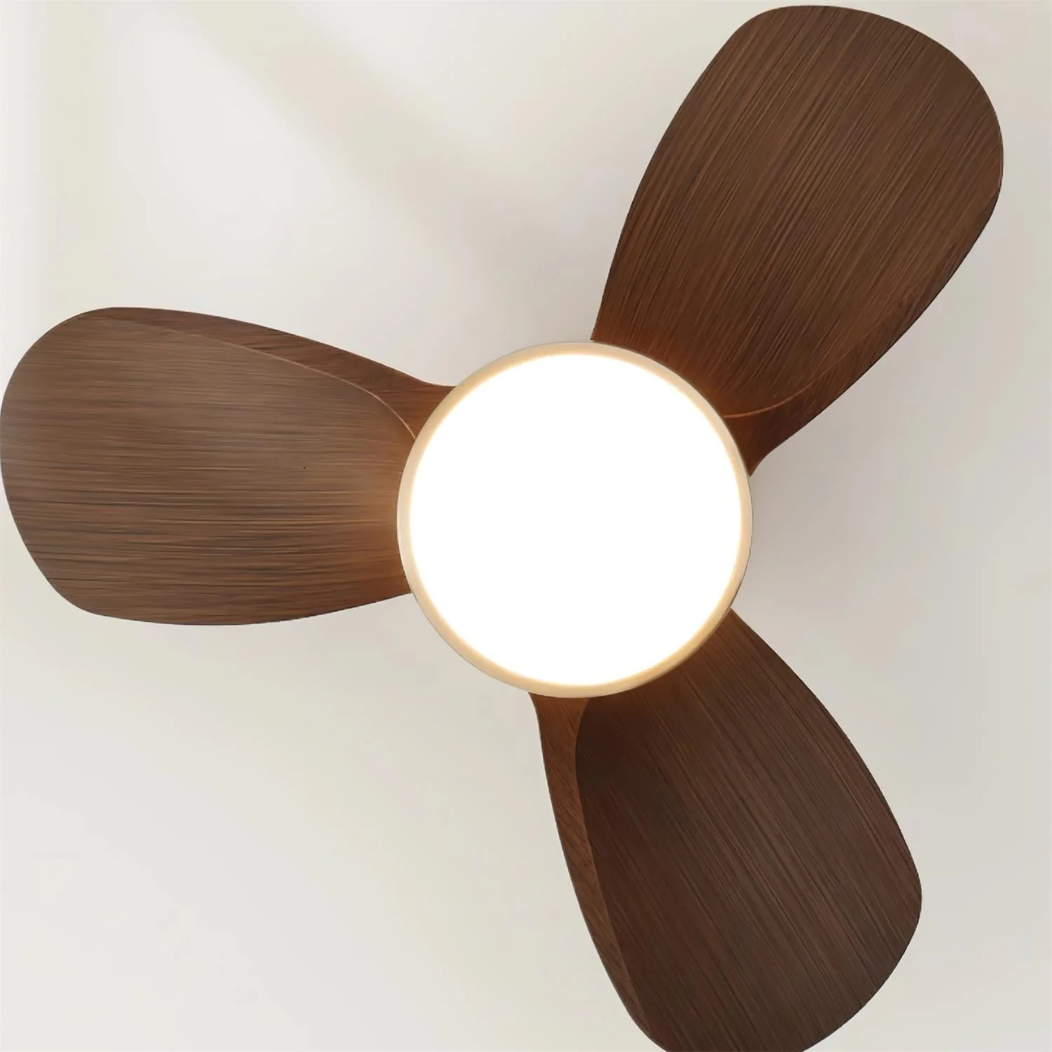 Talaya Ceiling Fan Light - Image 16