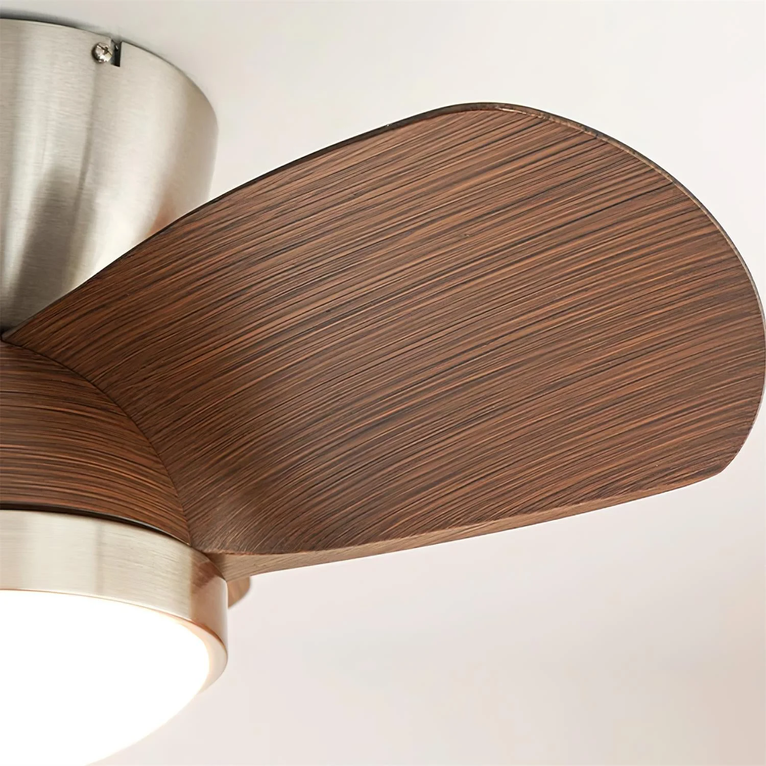 Talaya Ceiling Fan Light - Image 19