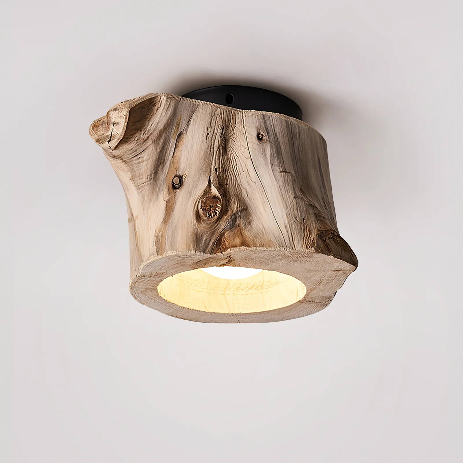 Tarn Hollow Ceiing Lamp - Image 9