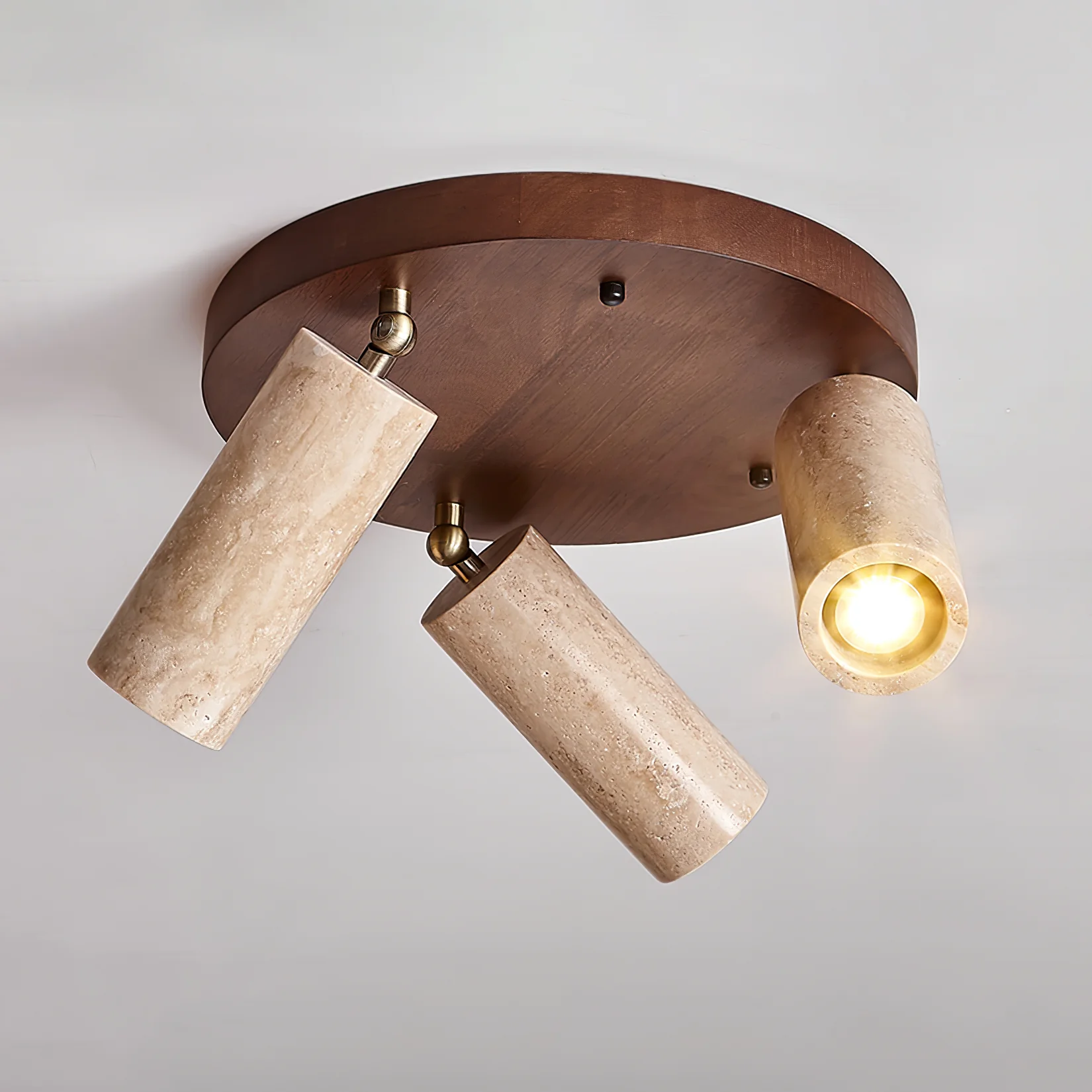 Terra Beam Ceiling Light - Image 14