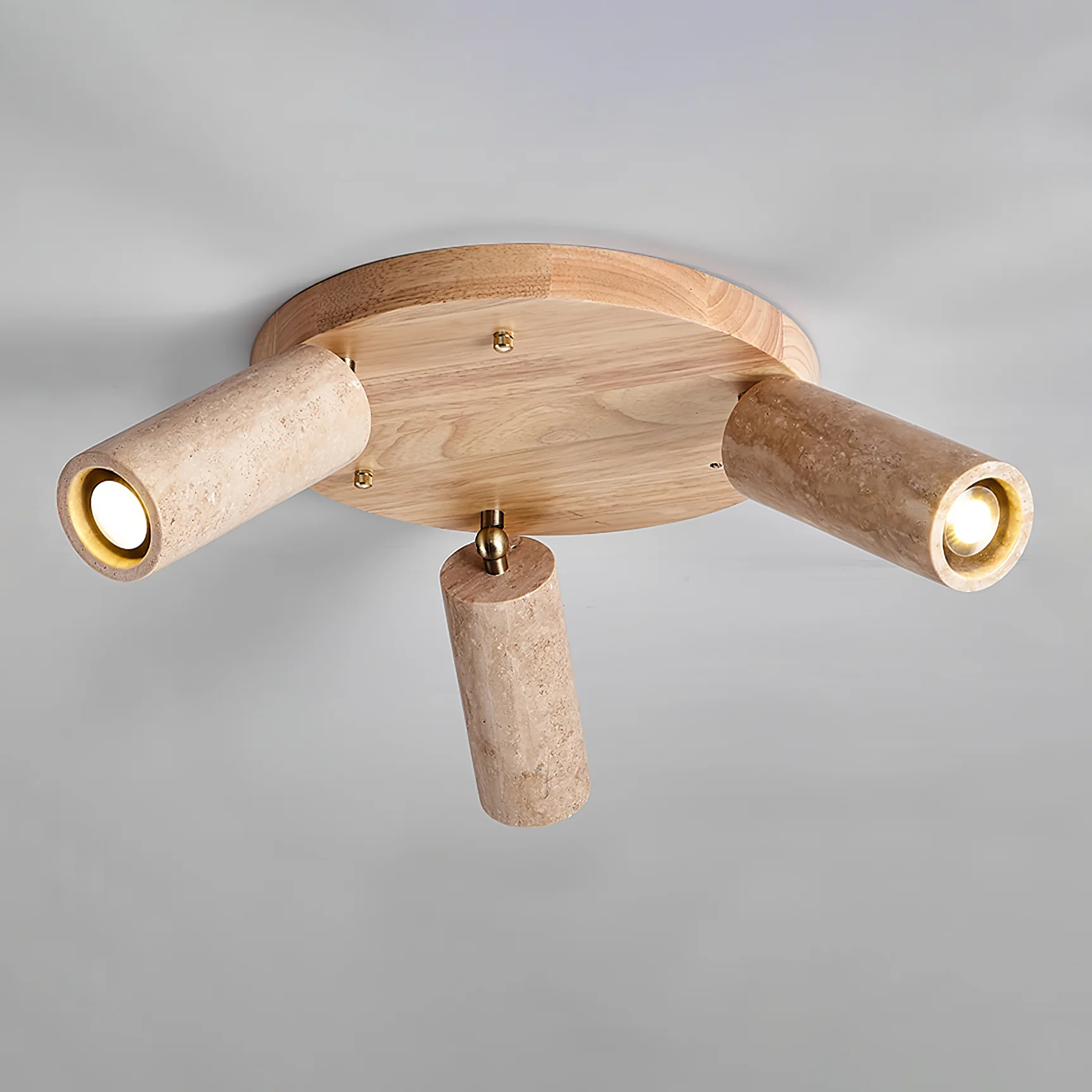 Terra Beam Ceiling Light - Image 9