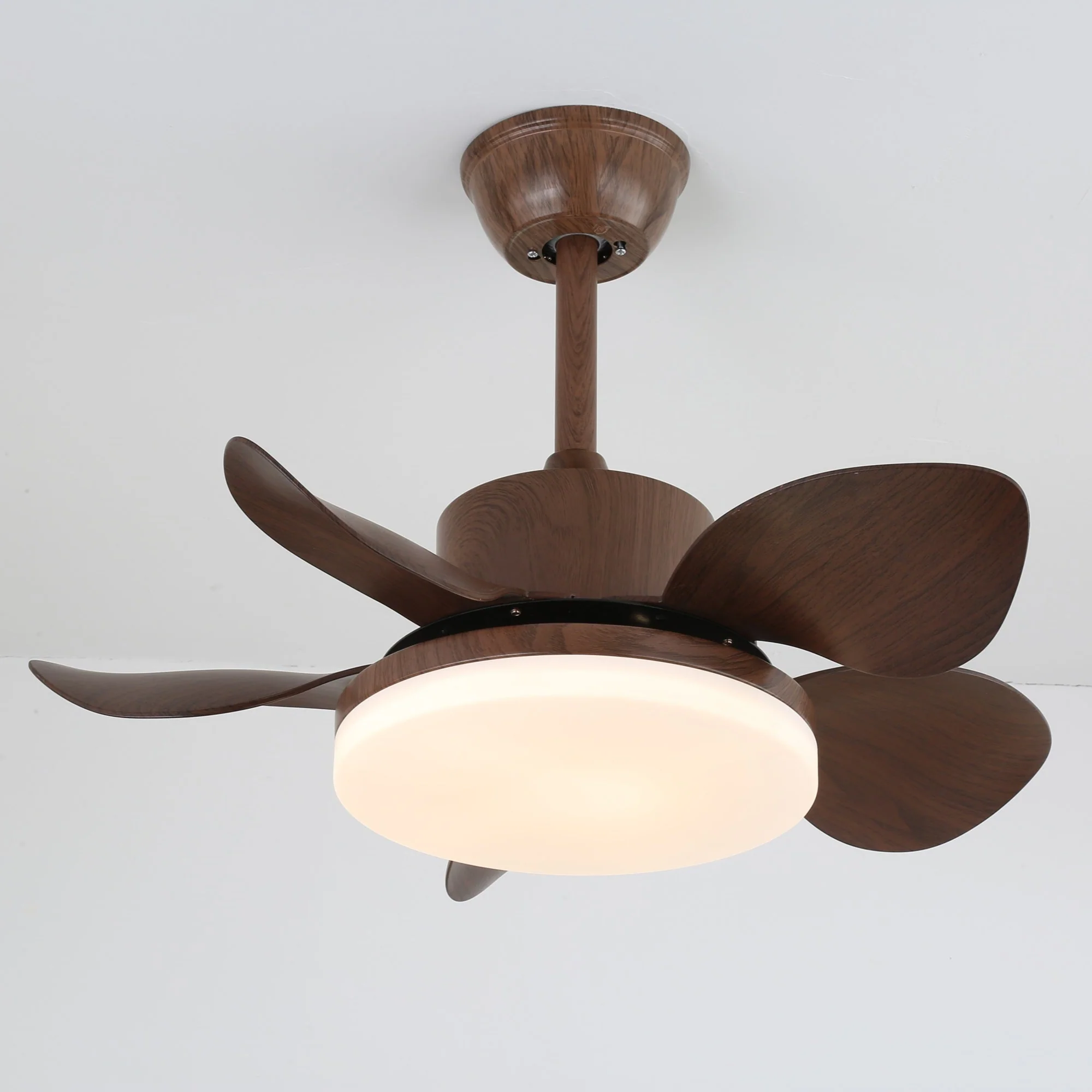 Terra Walnut Ceiling Fan Light - Image 16