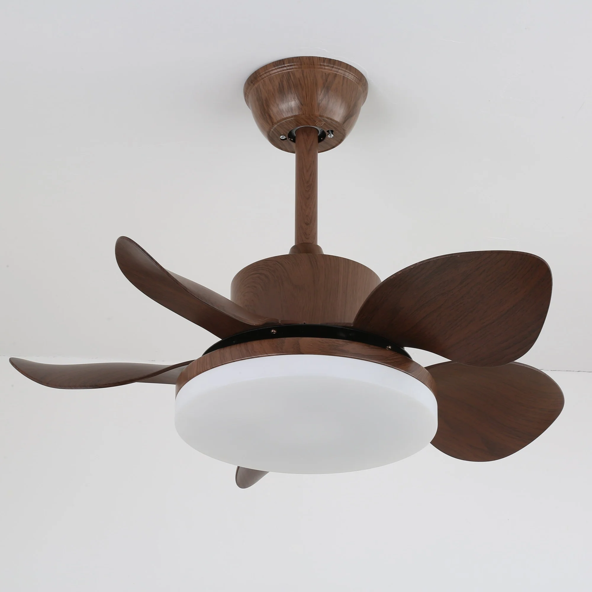 Terra Walnut Ceiling Fan Light - Image 18