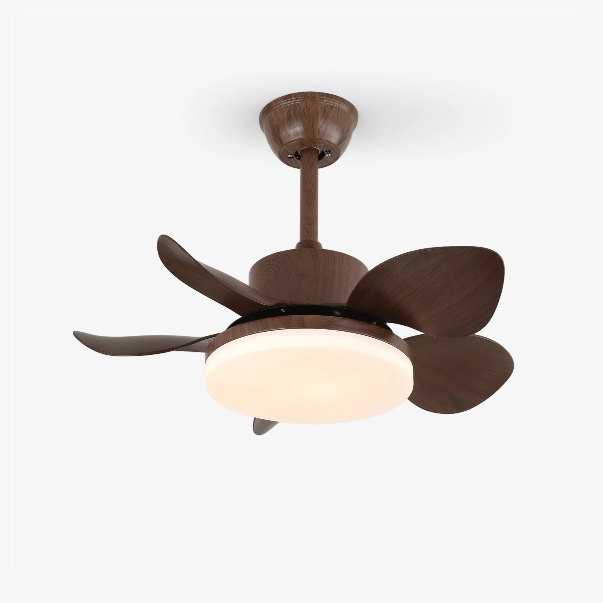 Terra Walnut Ceiling Fan Light - Image 19