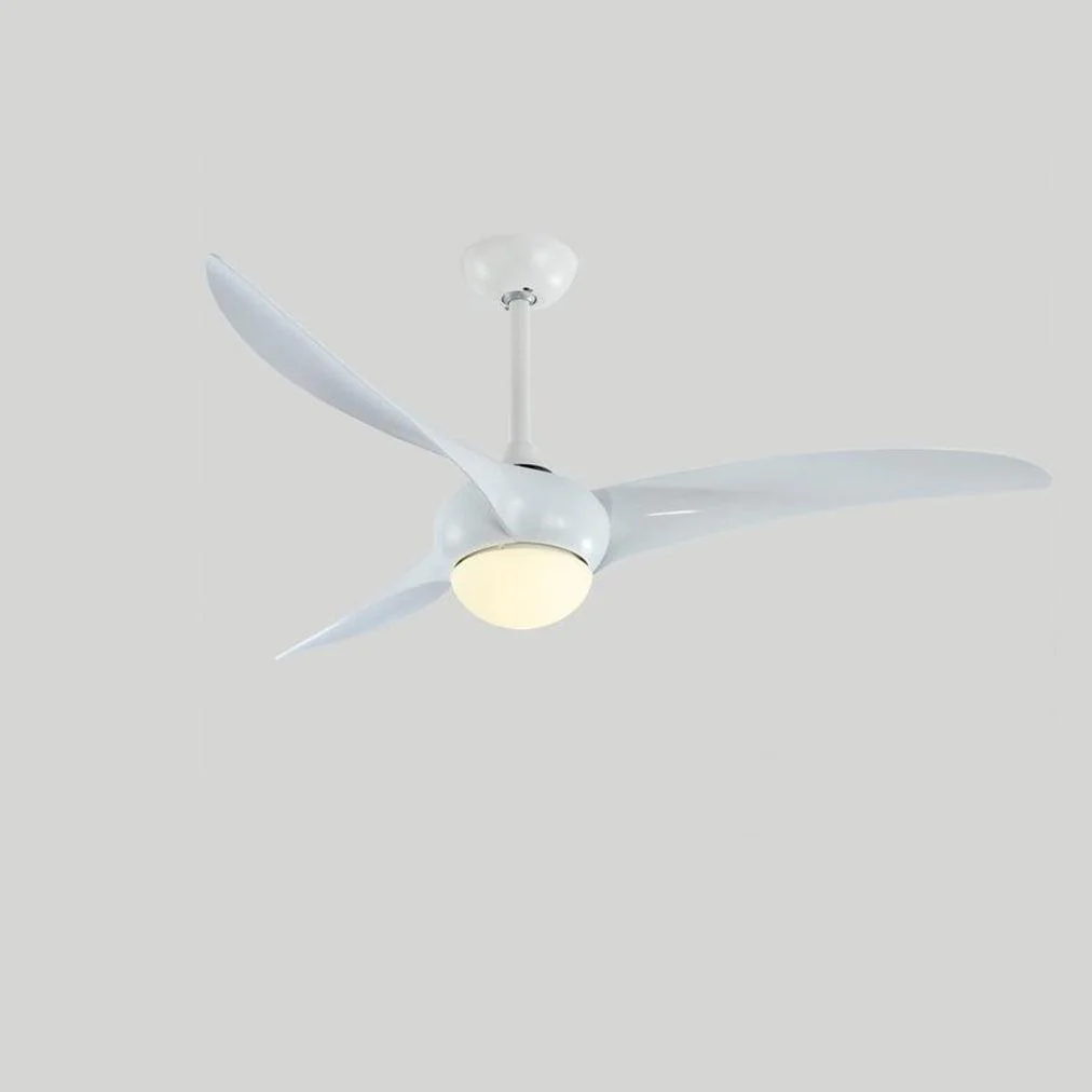 Traditional Ceiling Fan Light - Image 20
