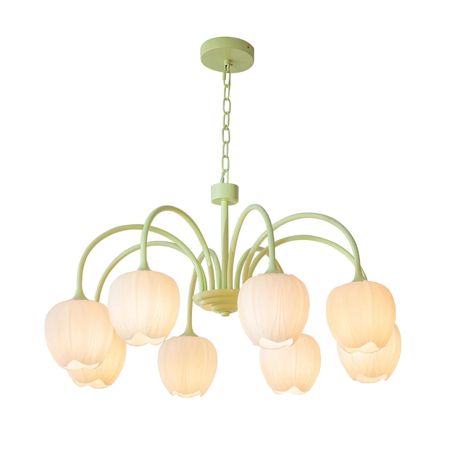 Tulip Matcha Chandelier - Image 55