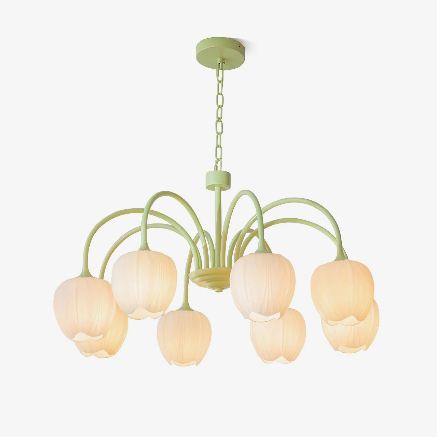 Tulip Matcha Chandelier - Image 57
