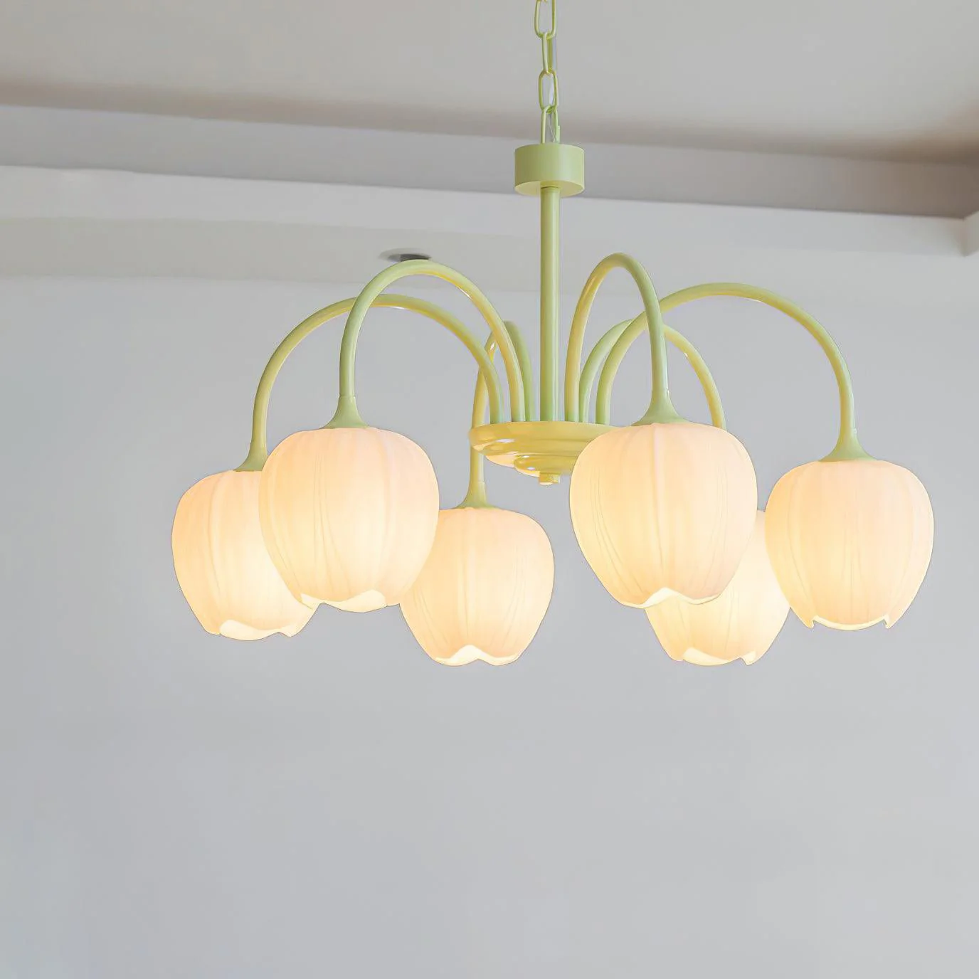 Tulip Matcha Chandelier - Image 75