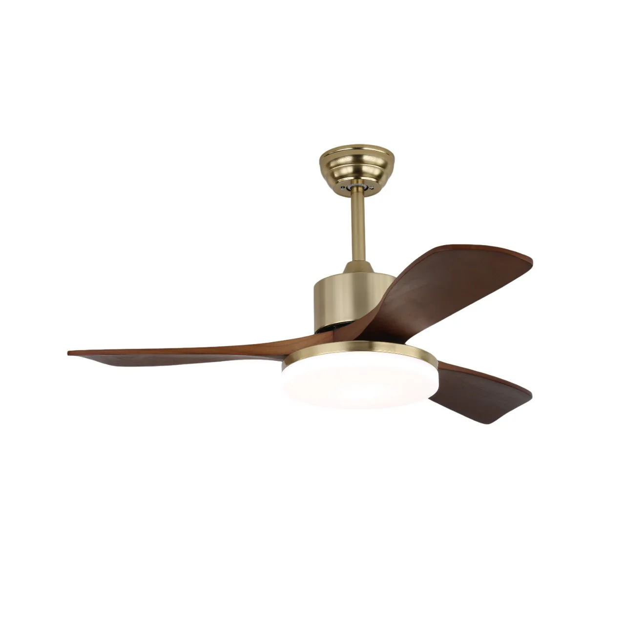 Vega Ceiling Fan Light - Image 6