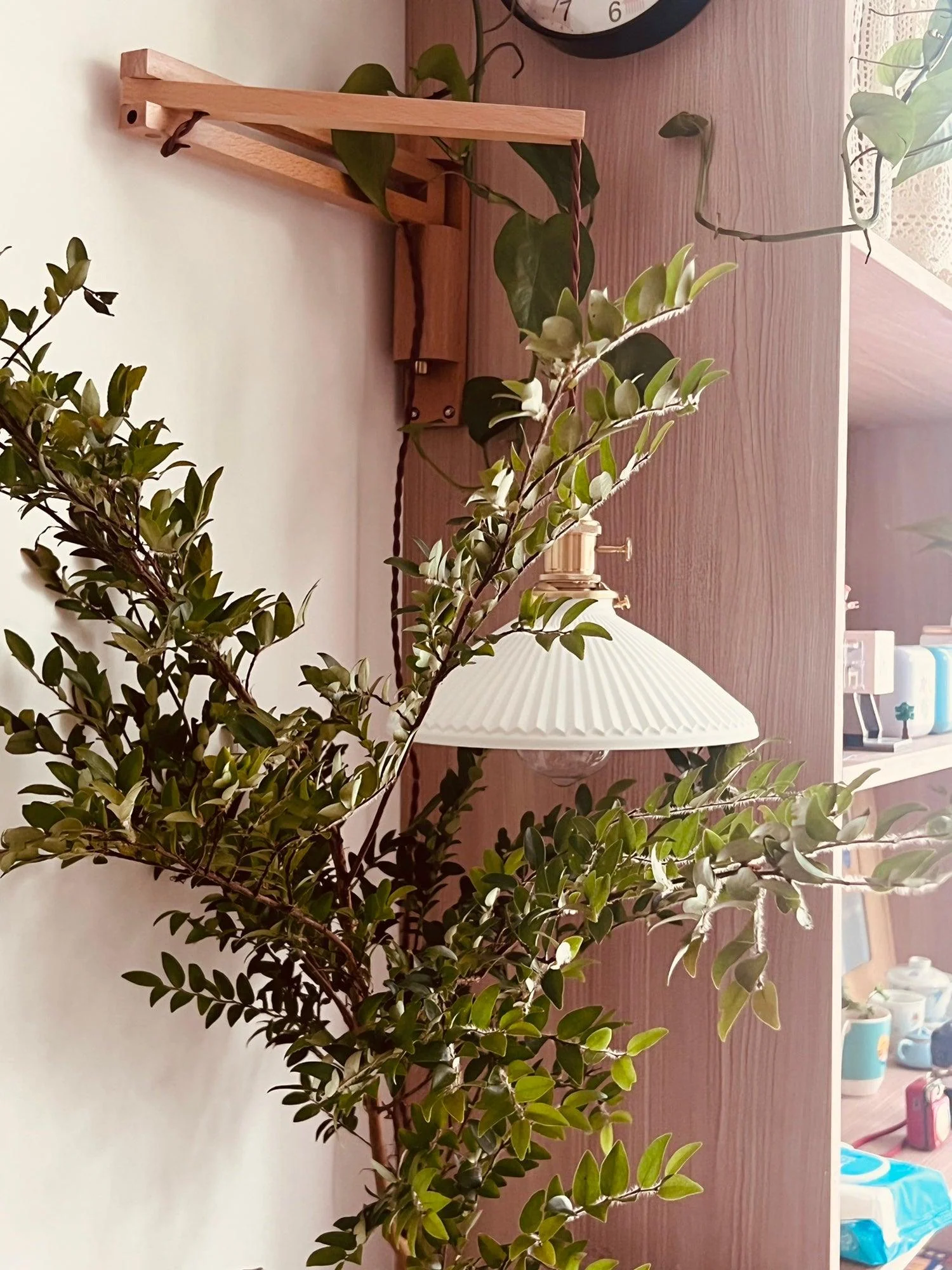 Walnut Telescopic Wall Lamp - Image 30