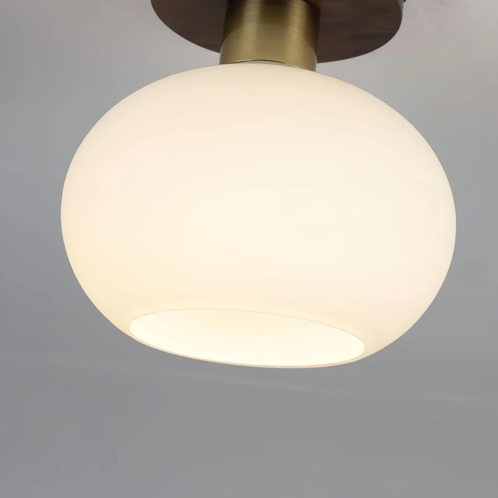 White Shell Ceiling Lamp - Image 20