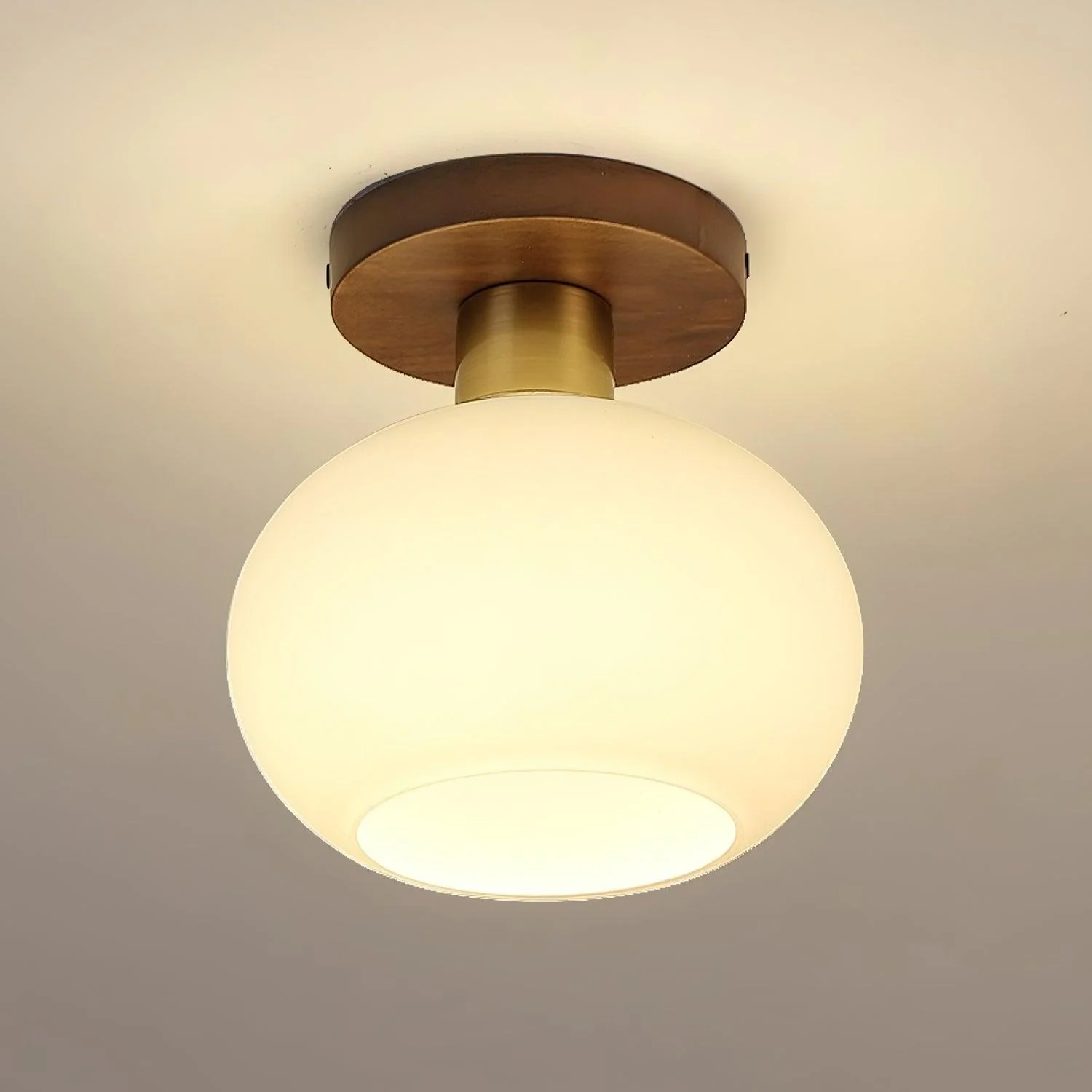 White Shell Ceiling Lamp - Image 22