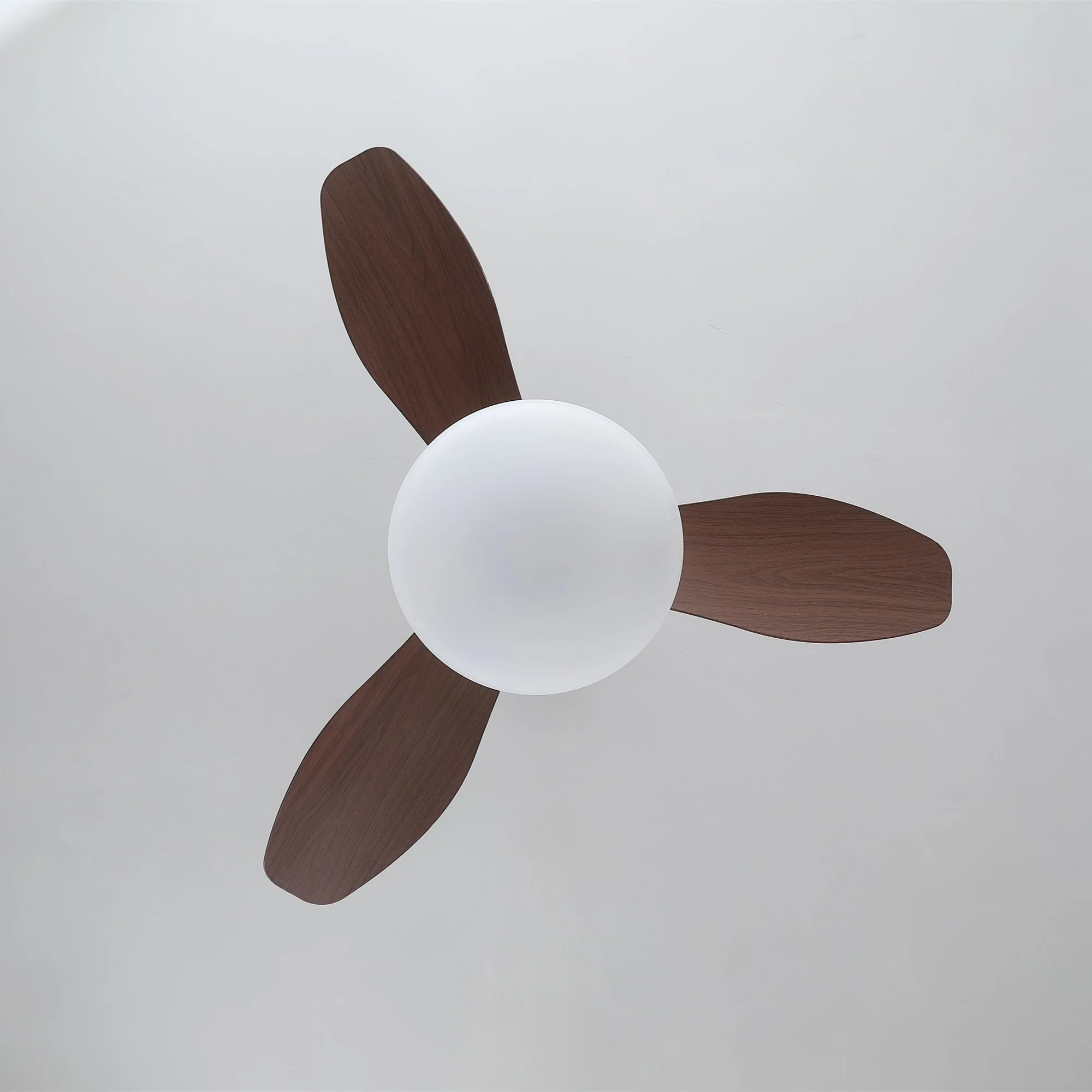 Zephira Ceiling Fan Light - Image 9