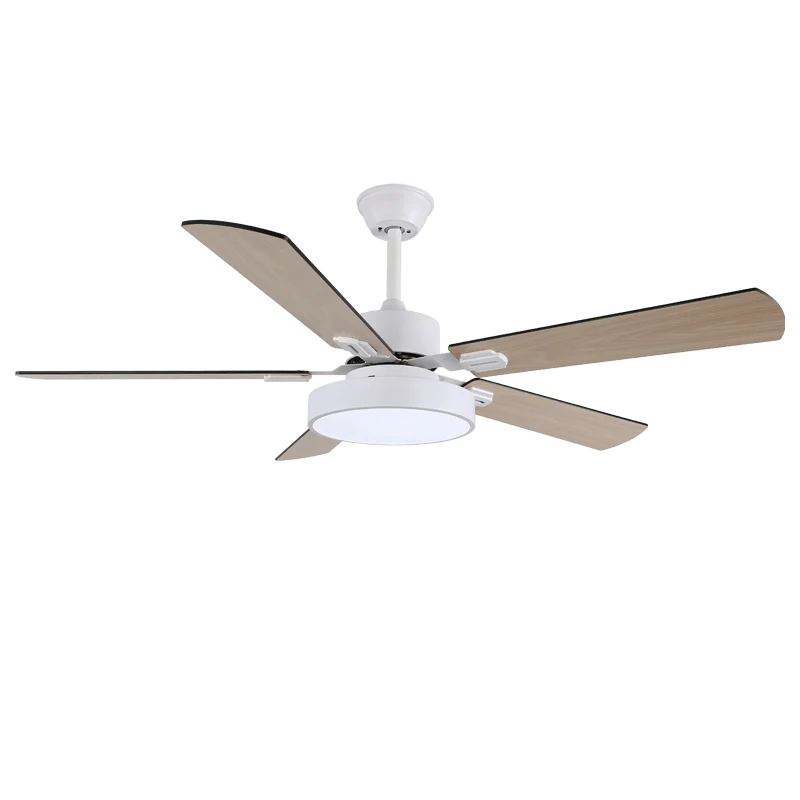 Zephyris Ceiling Fan Light - Image 5